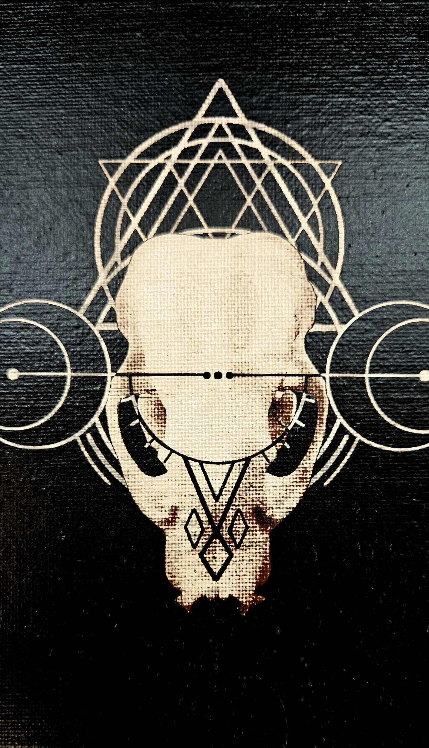 badger_skull_geometry_1.jpg