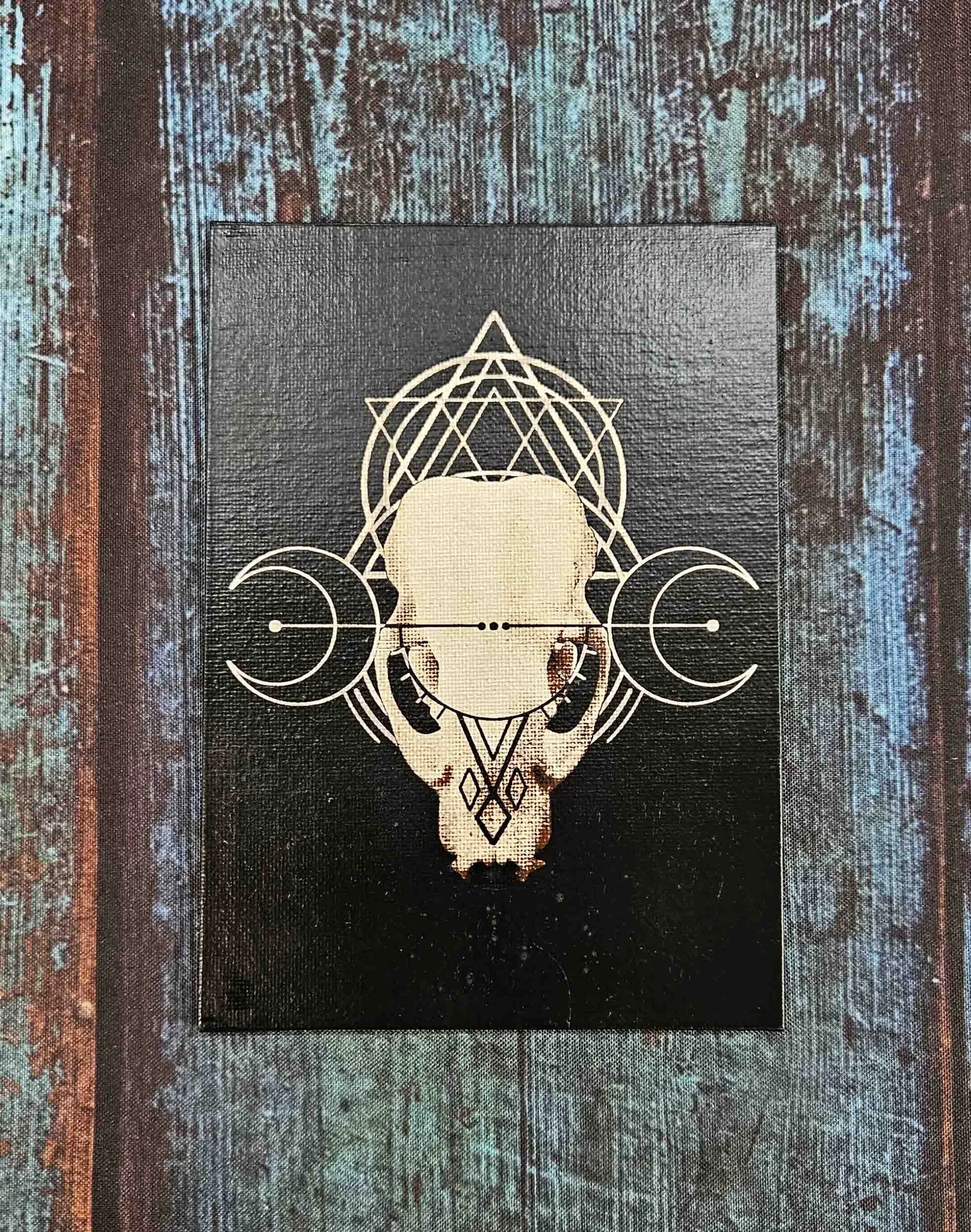 badger_skull_geometry_3.jpg