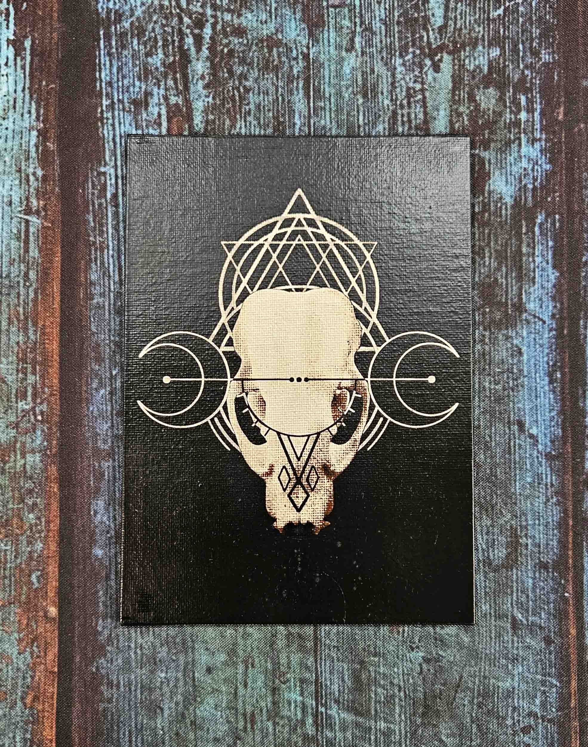 Badger Skull w/ Geometry