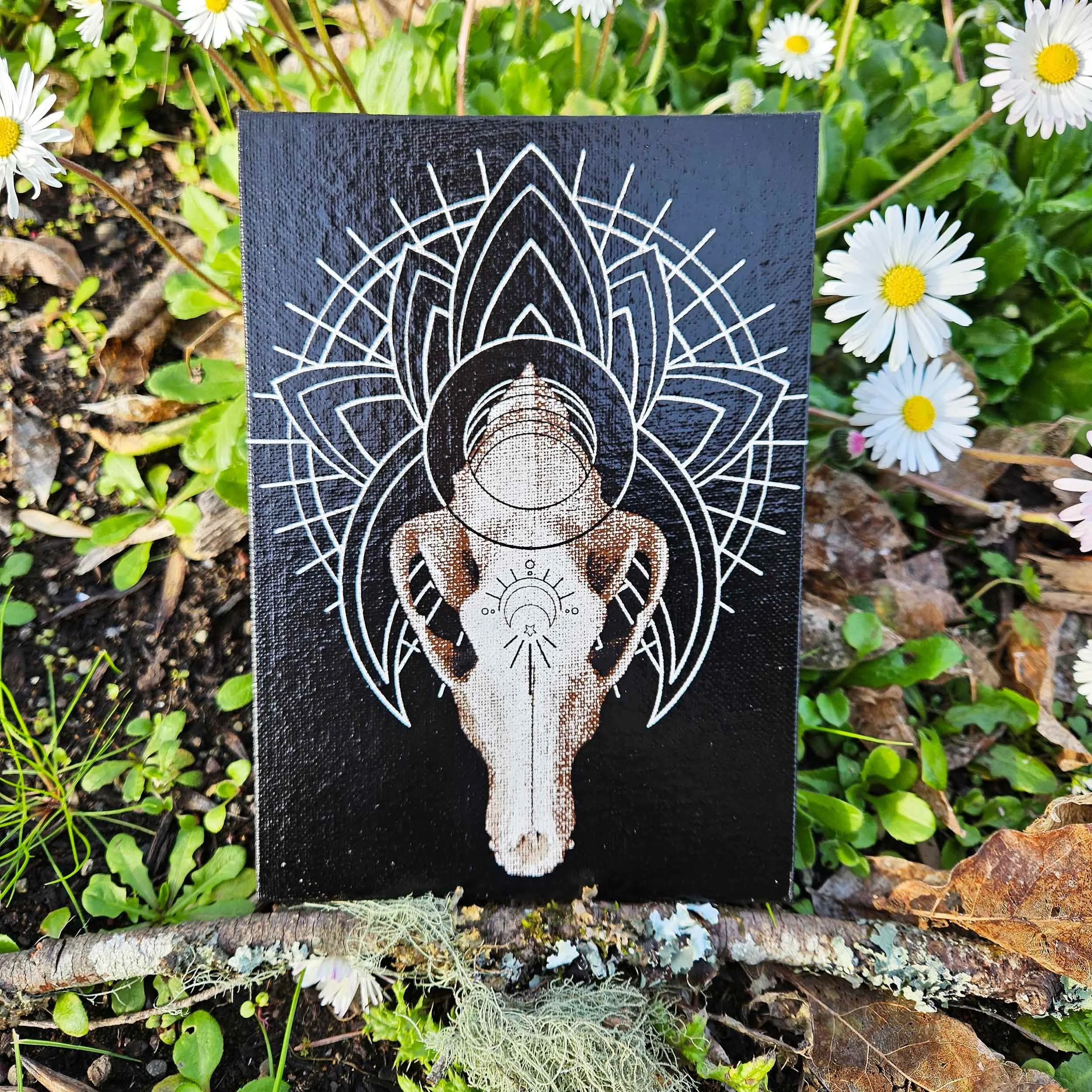 wolf_skull_geometry_3.jpg