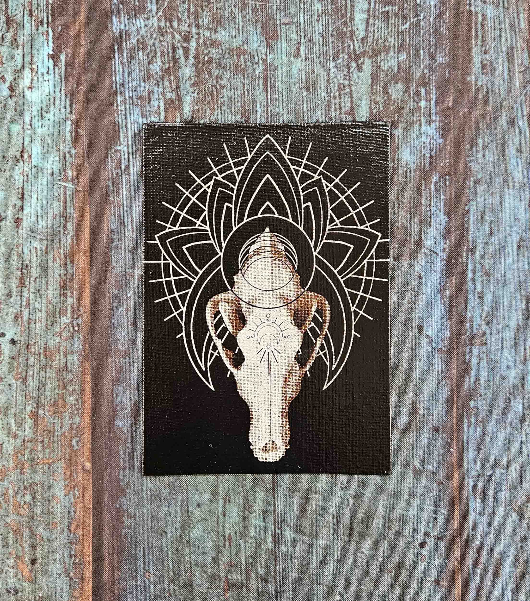 wolf_skull_geometry_9.jpg