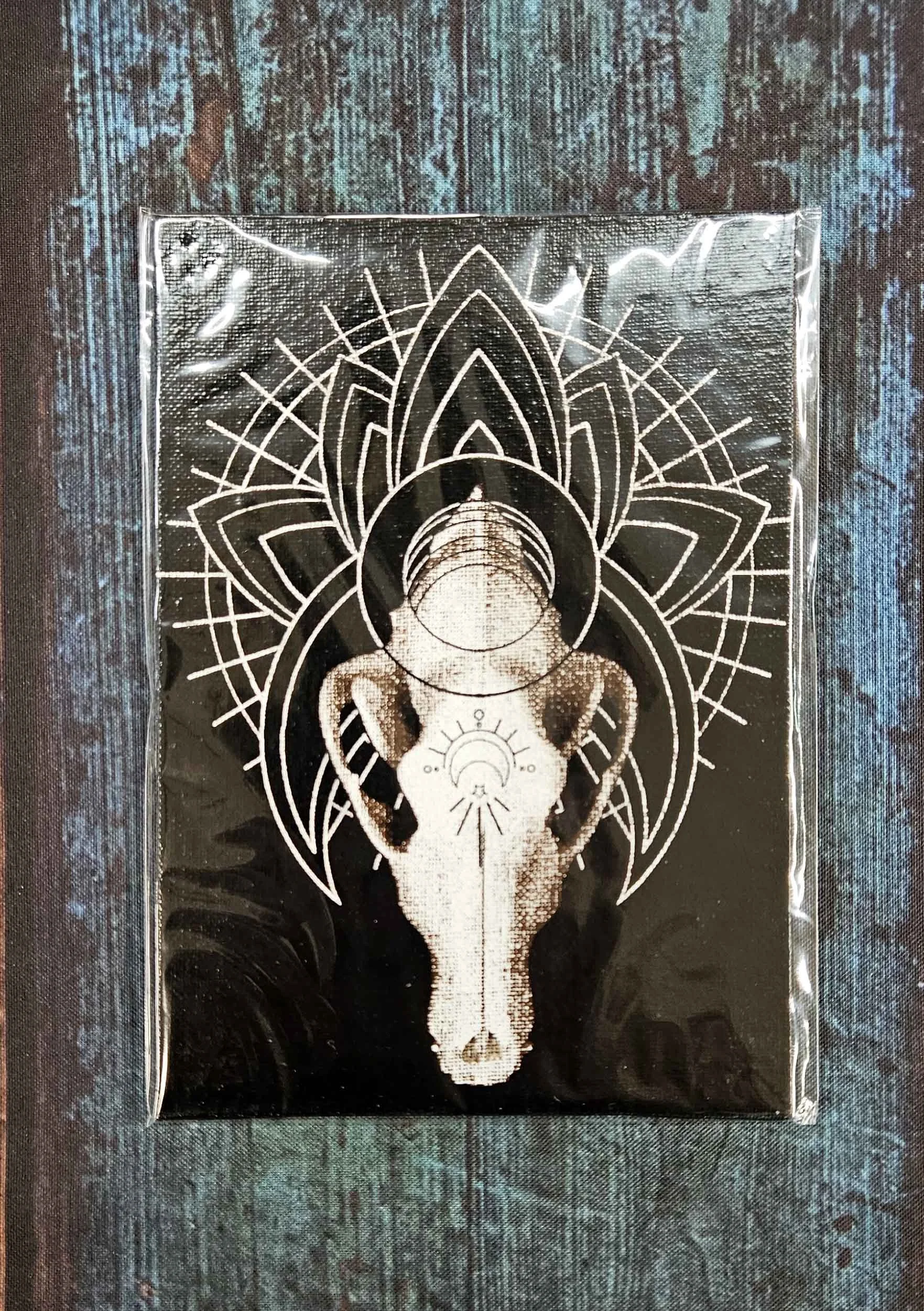 wolf_skull_geometry_6.jpg
