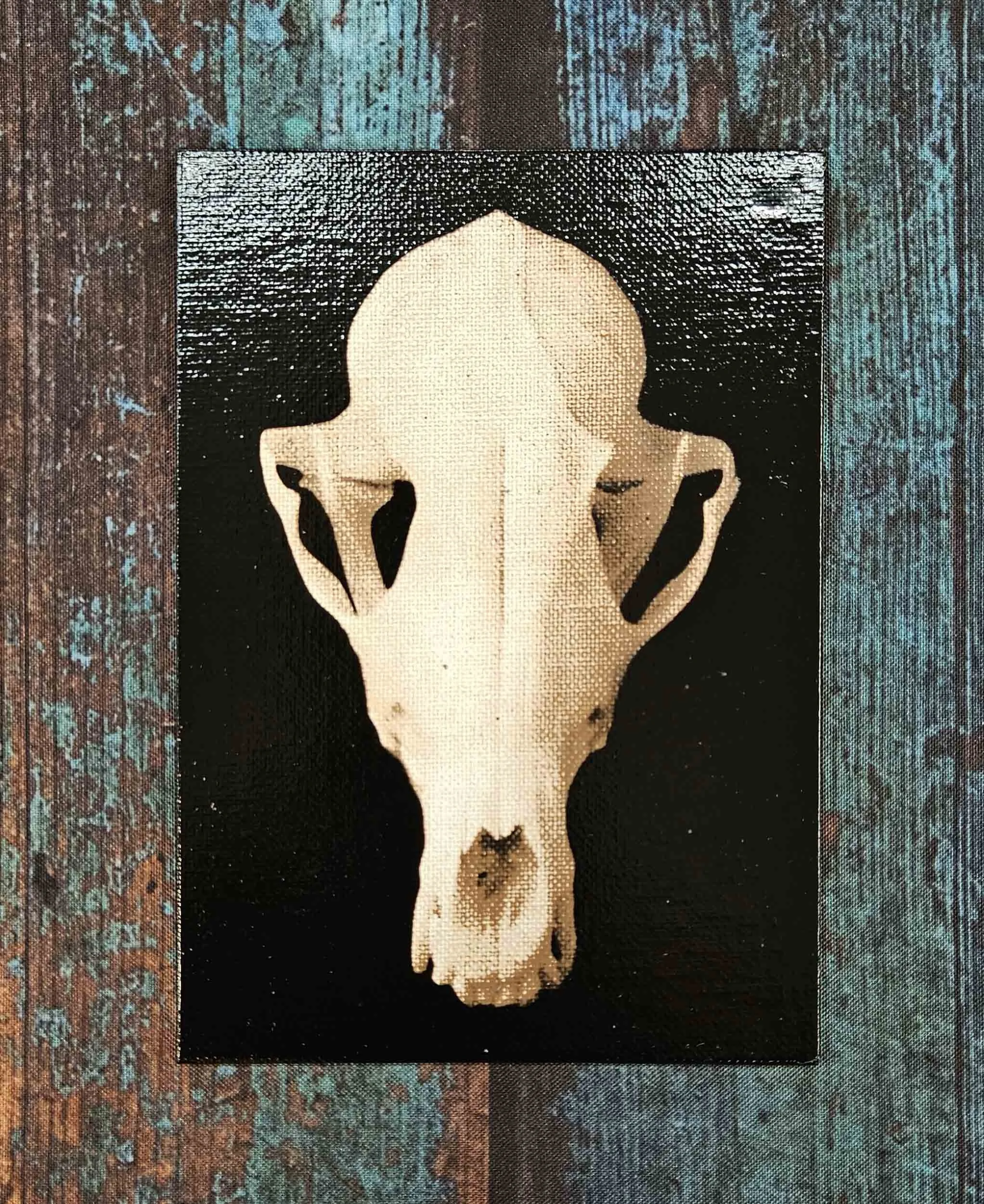 fox_skull_3.jpg