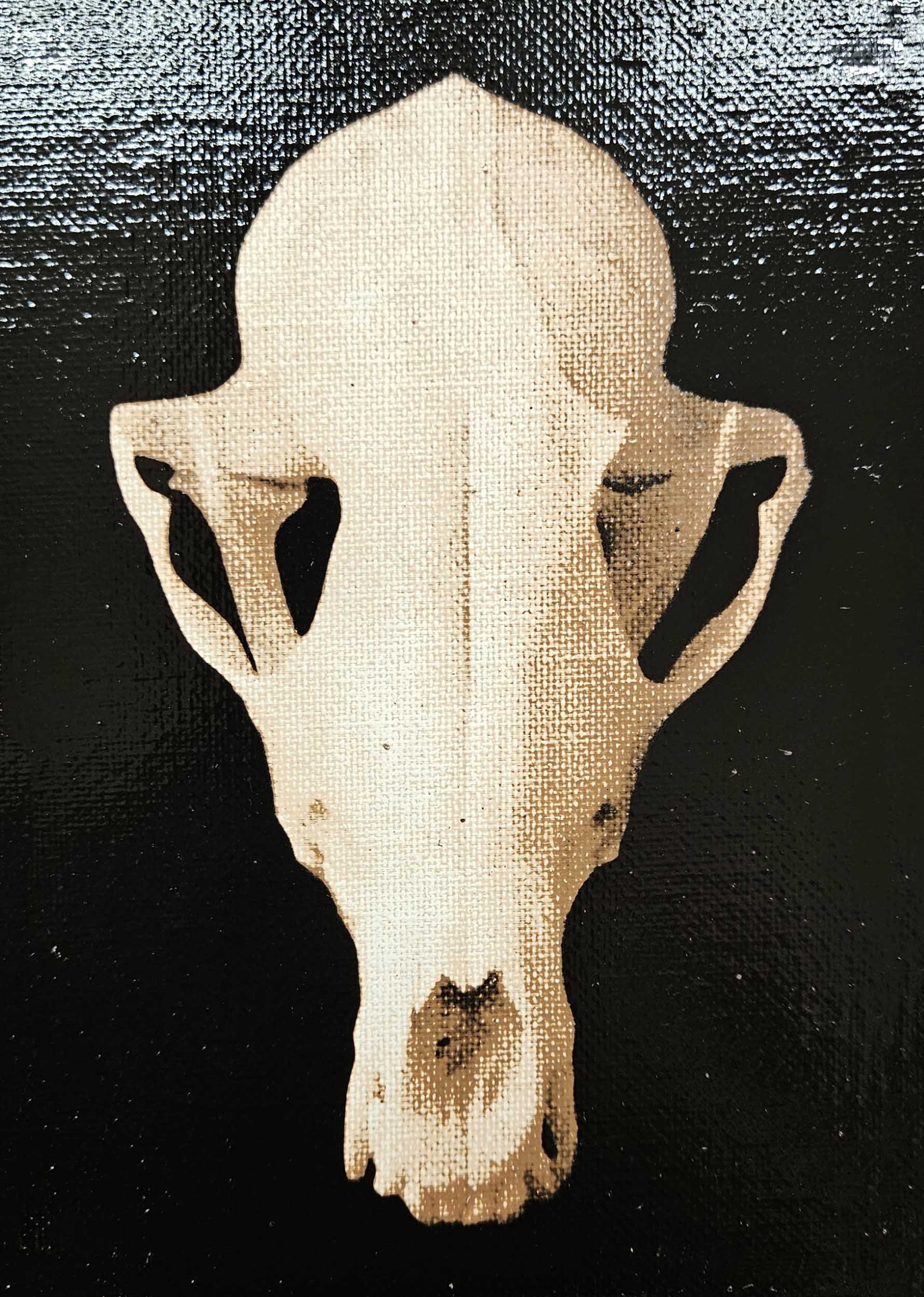 fox_skull_1.jpg