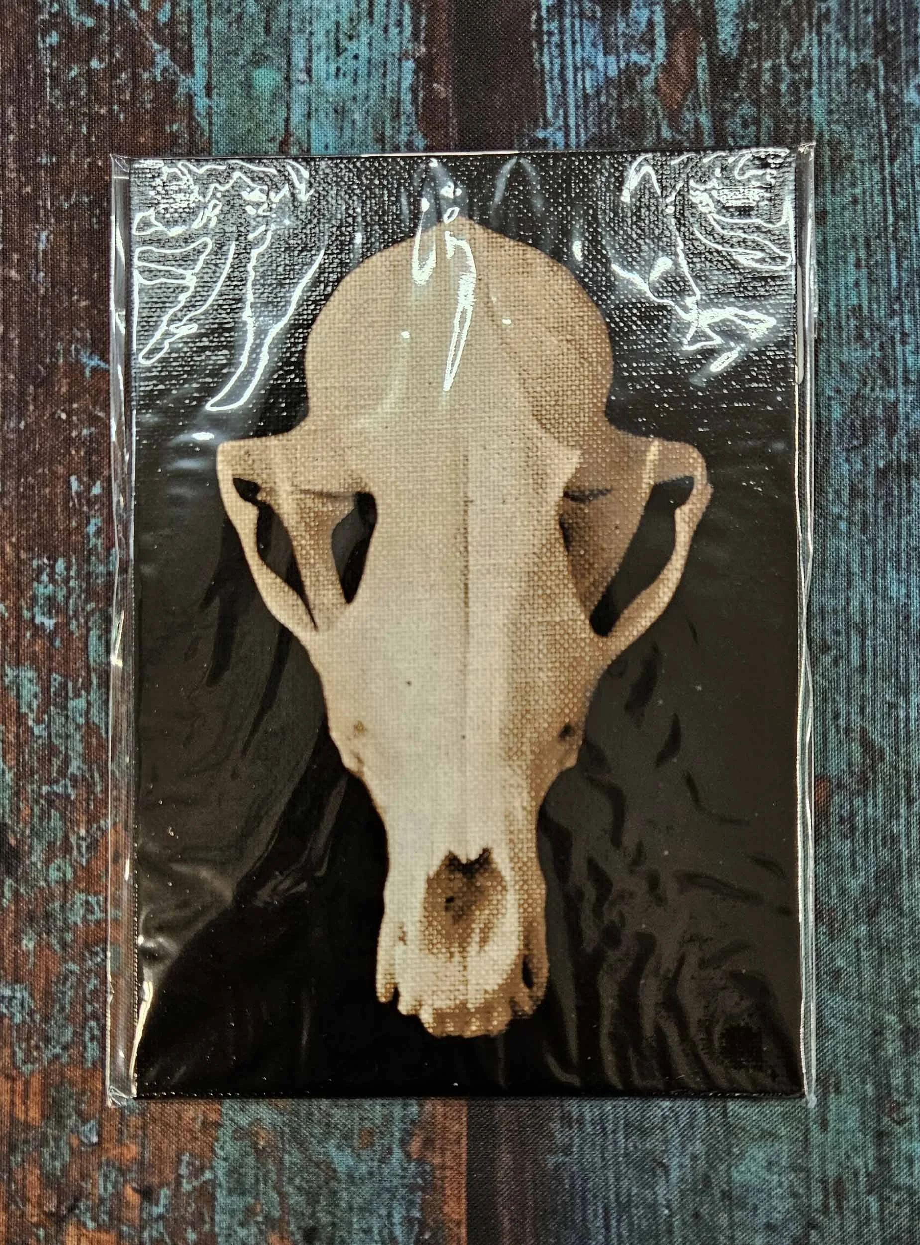 fox_skull_5.jpg