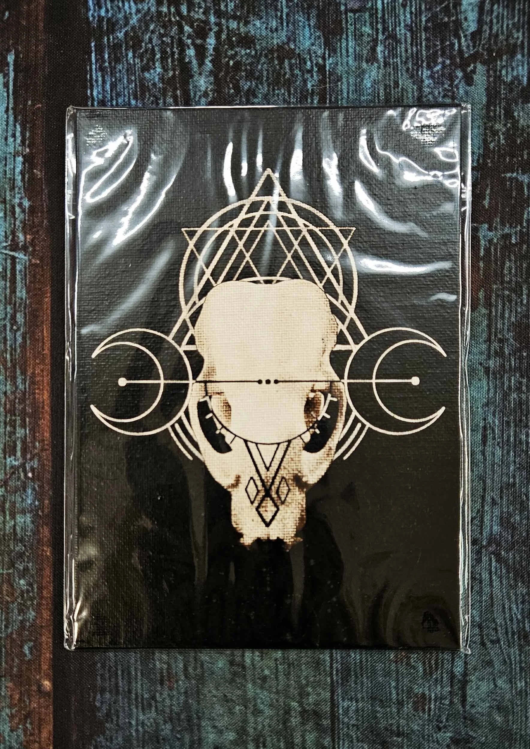 badger_skull_geometry_4.jpg