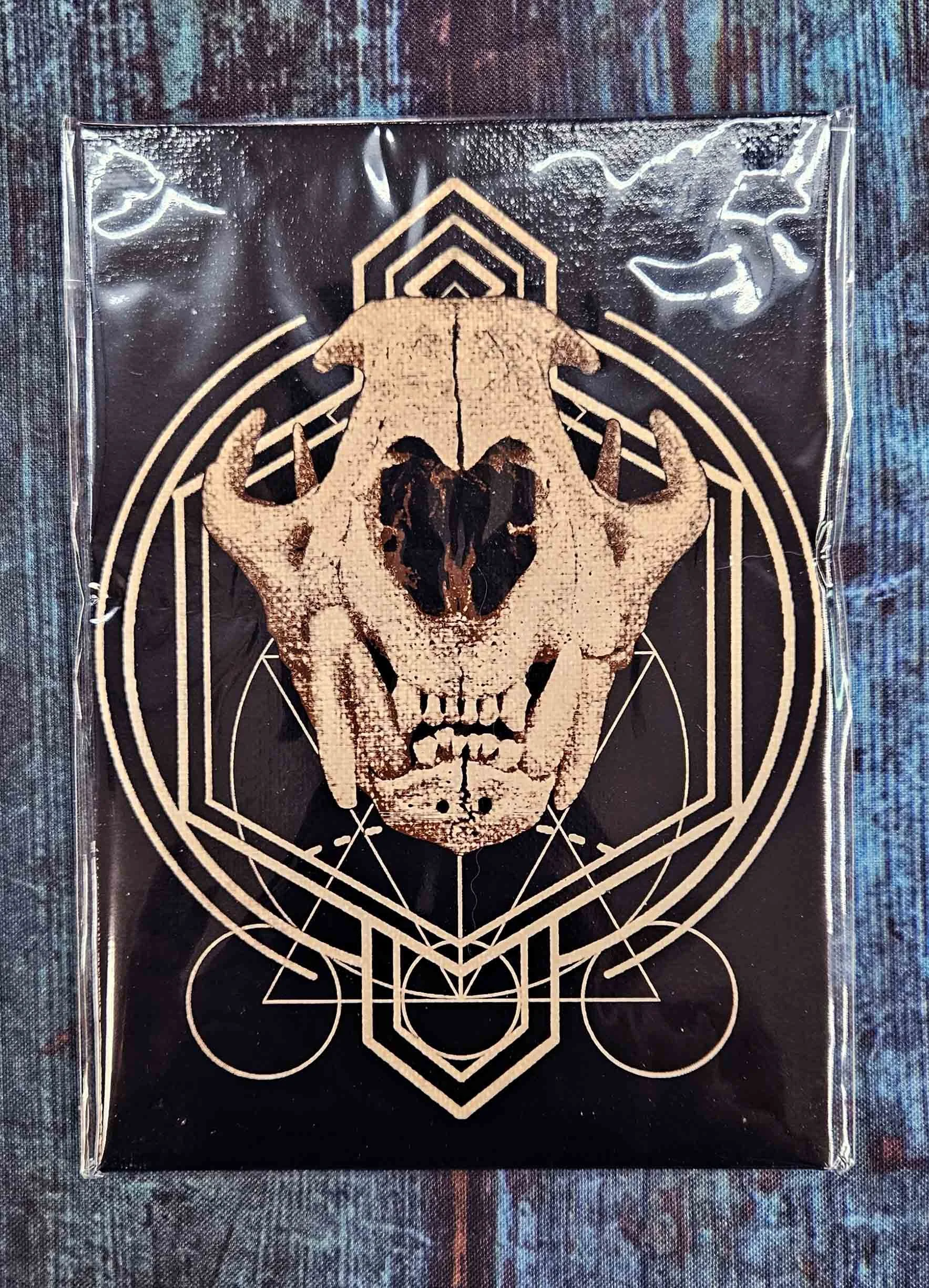 cougar_skull_geometry_5.jpg