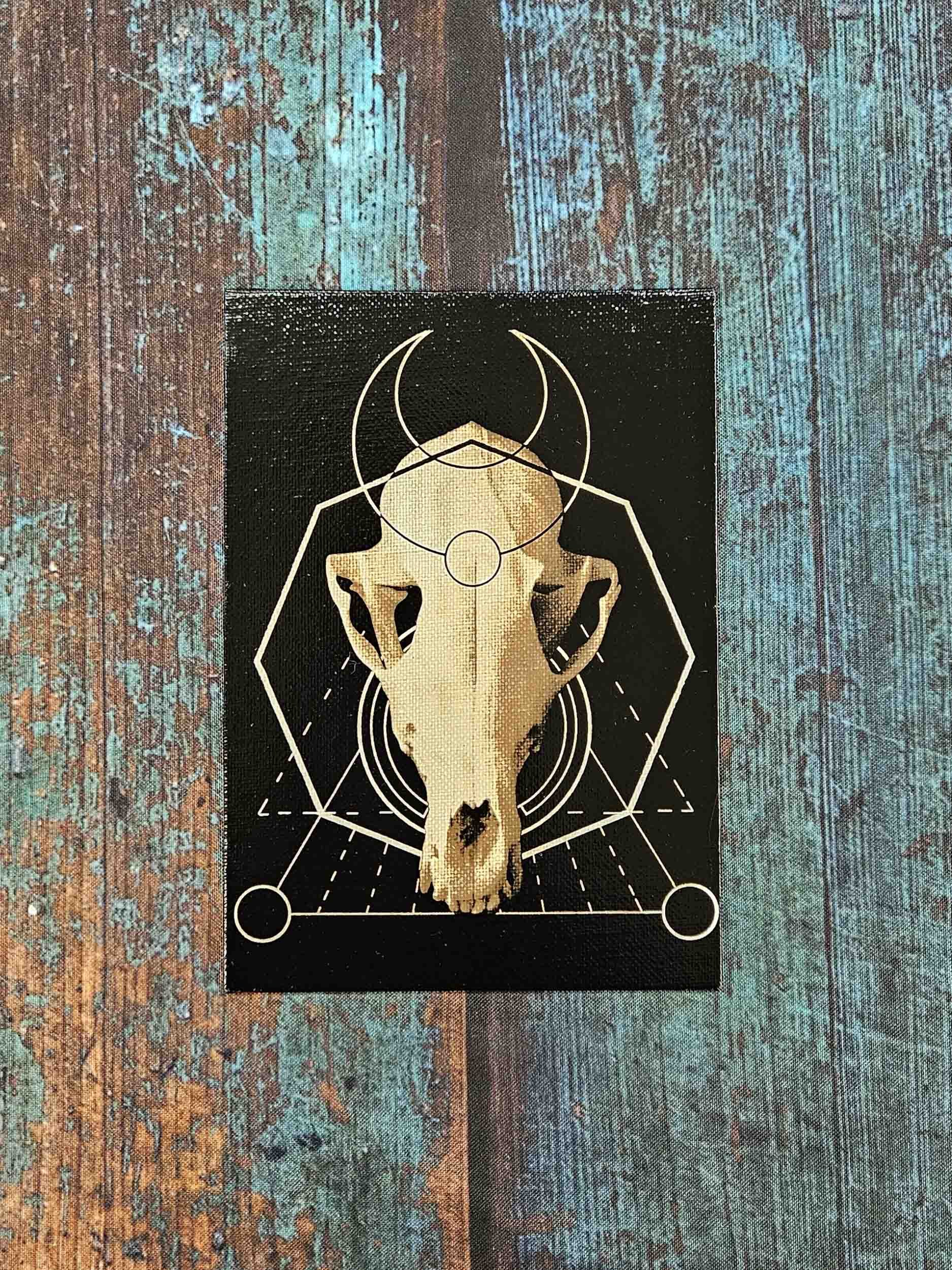 fox_skull_geometry_6.jpg