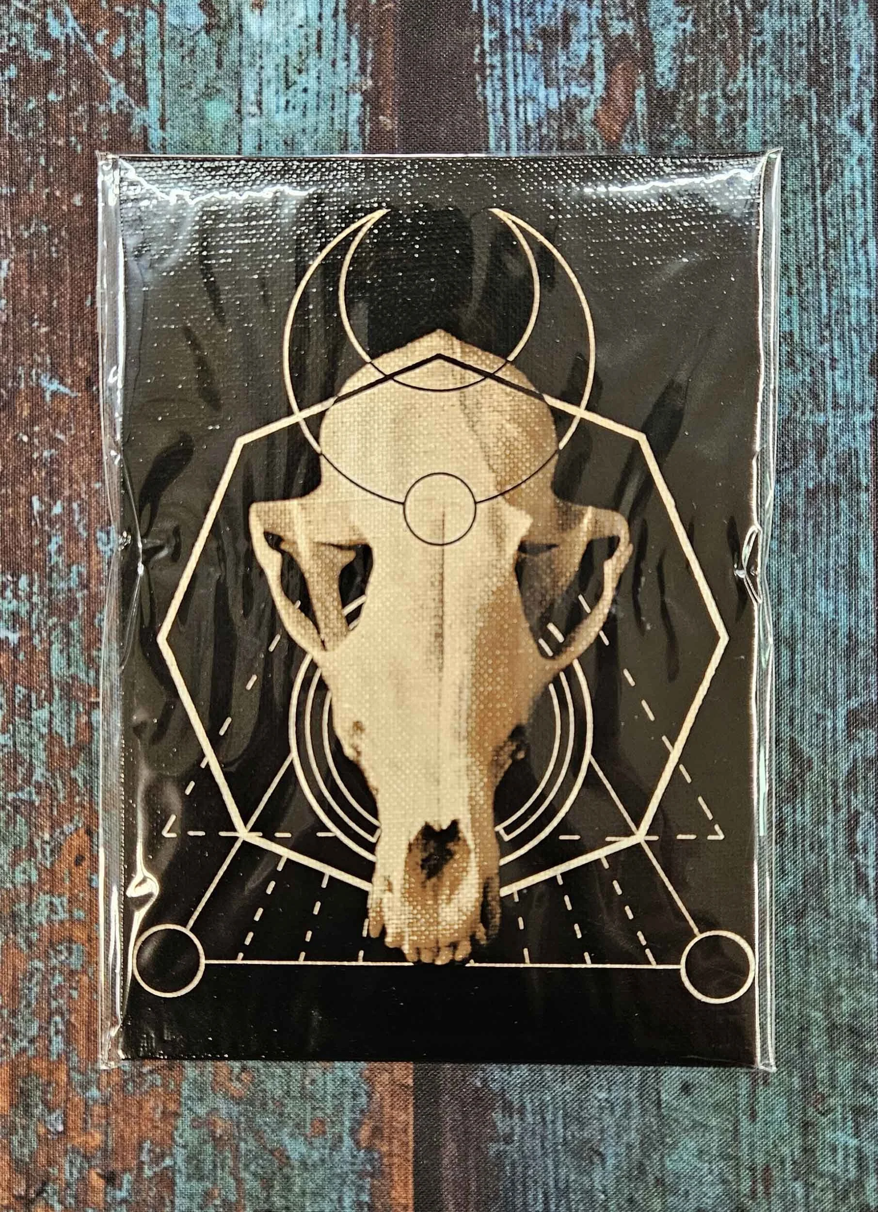 fox_skull_geometry_4.jpg