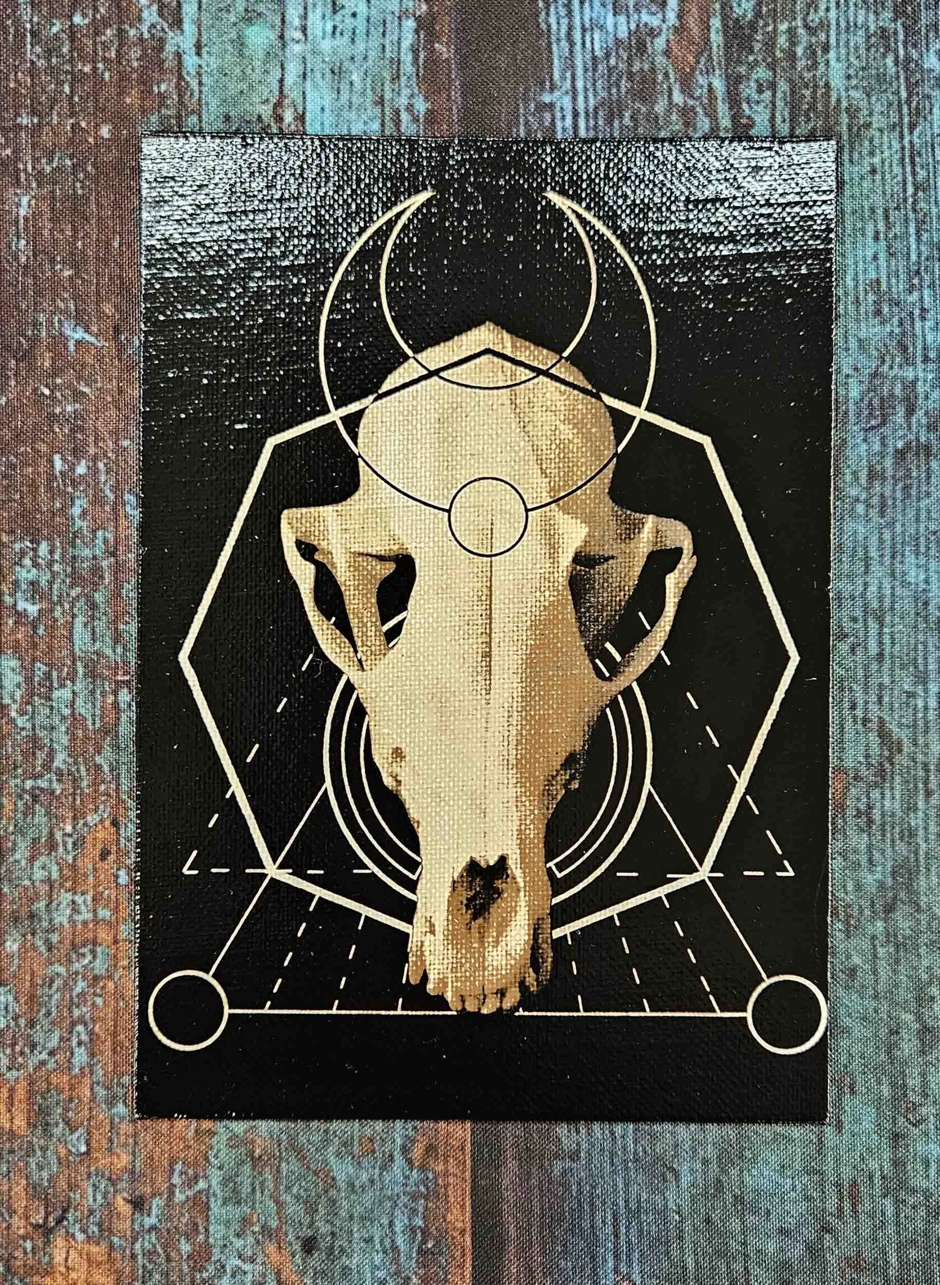 fox_skull_geometry_2.jpg