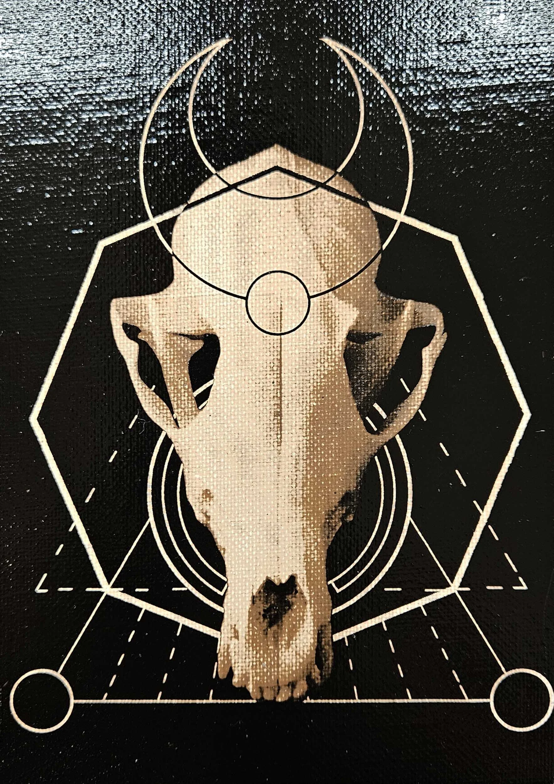 fox_skull_geometry_1.jpg