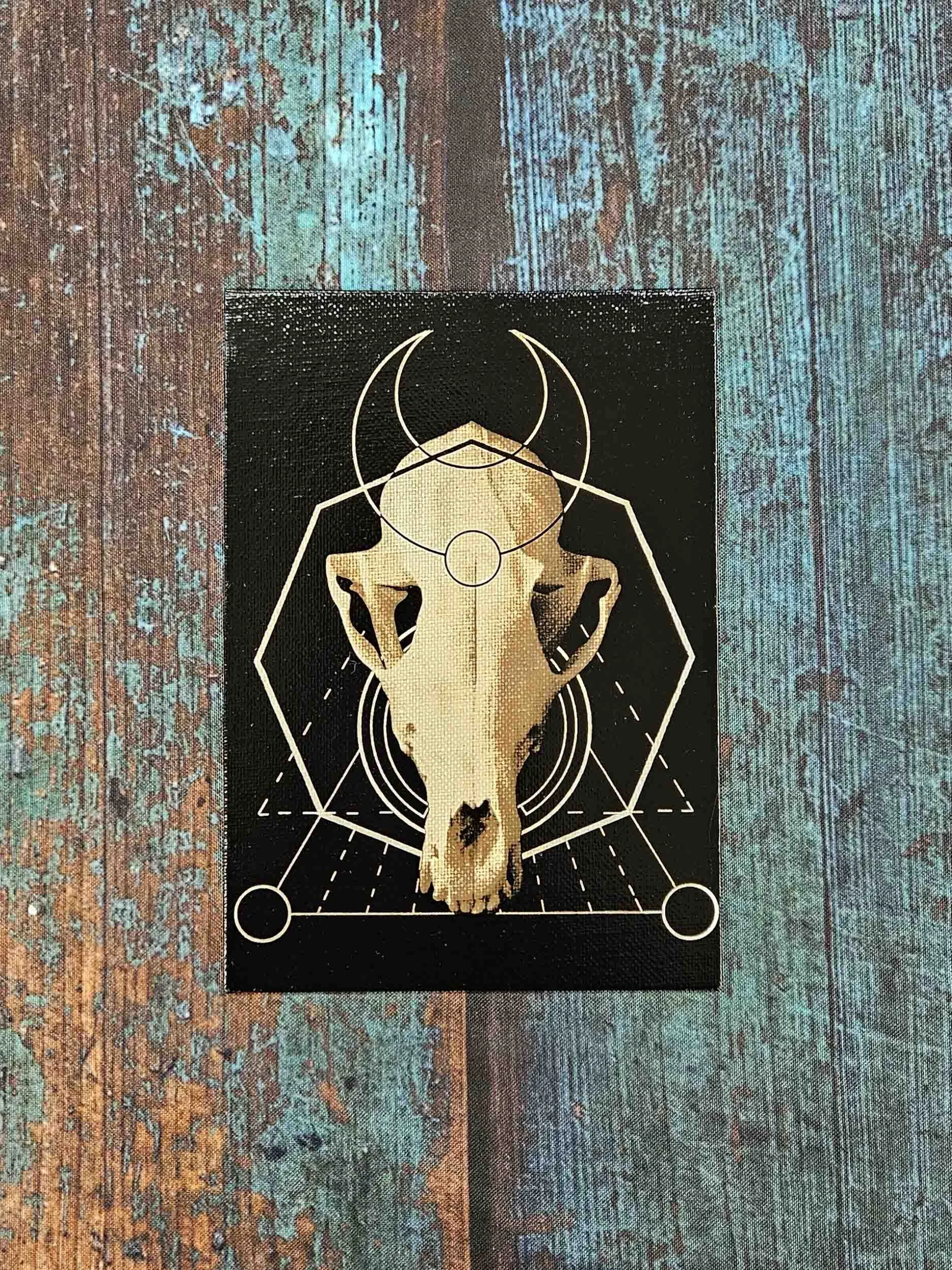 Fox Skull w/ Geometry