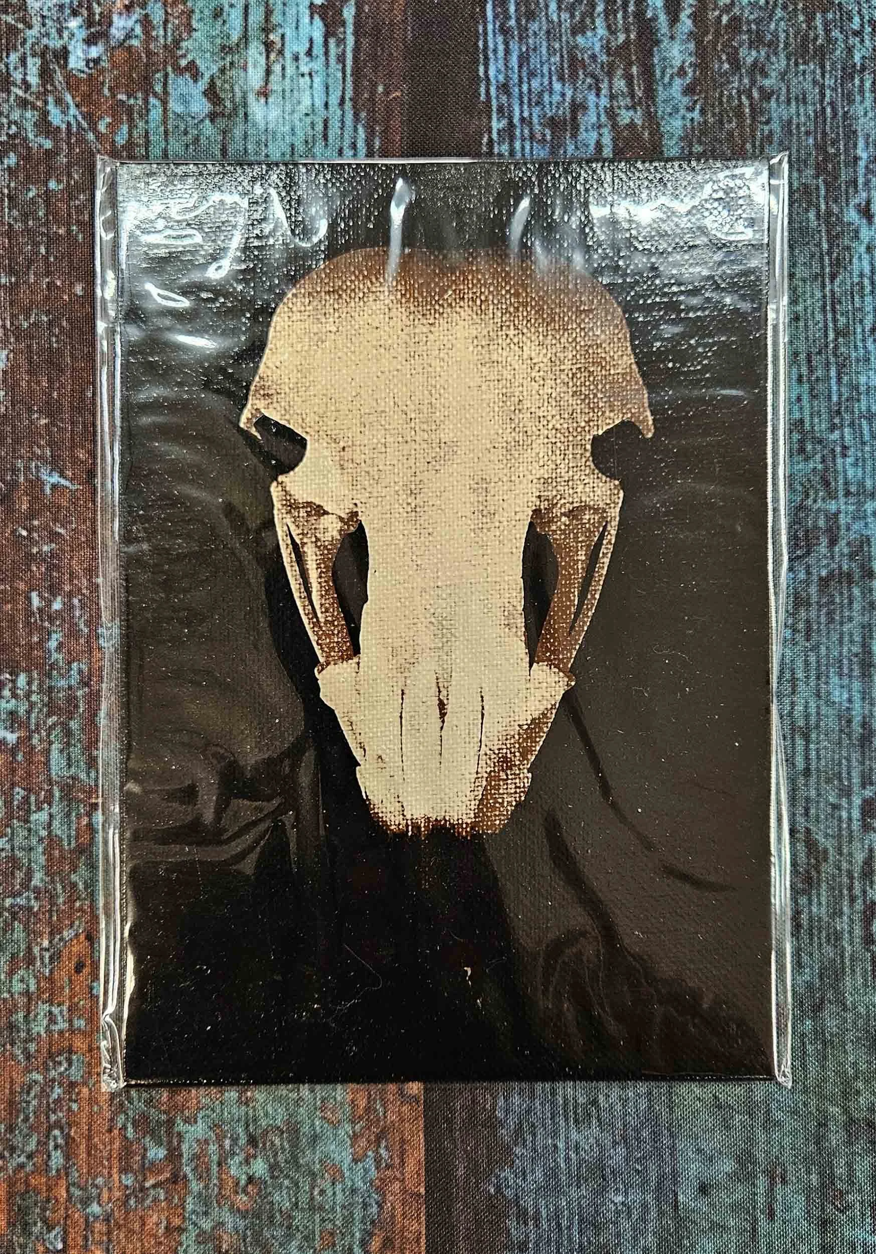 osprey_skull_5.jpg