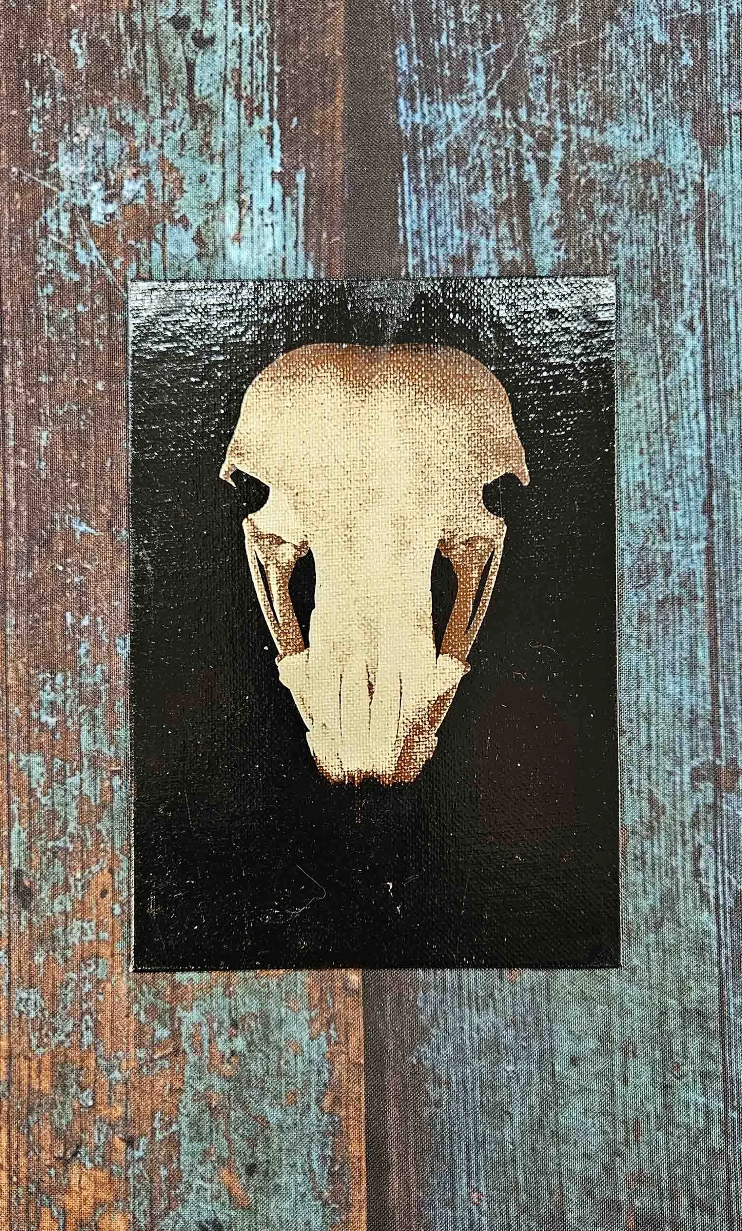 osprey_skull_3.jpg