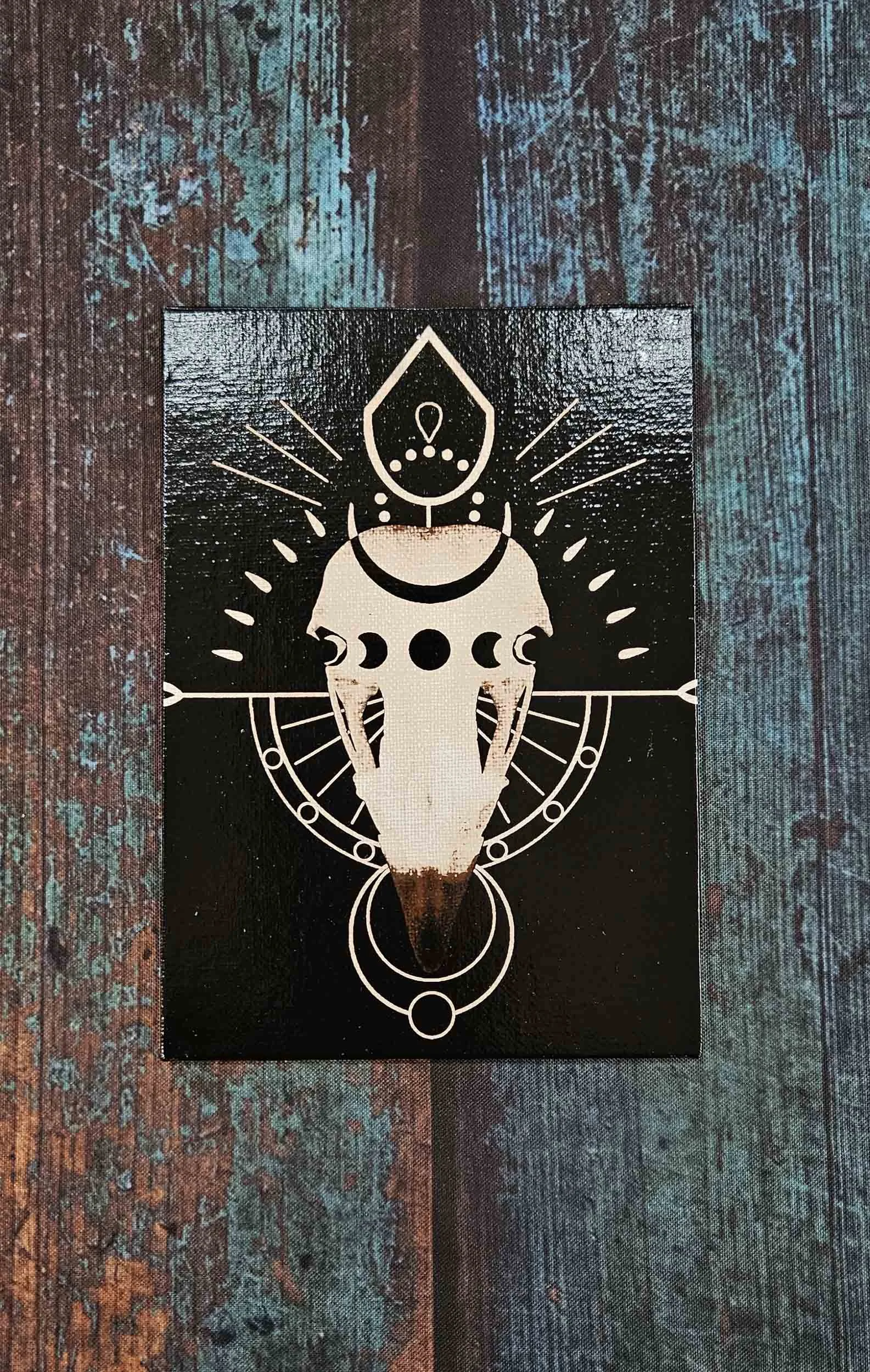 osprey_skull_geometry_2.jpg