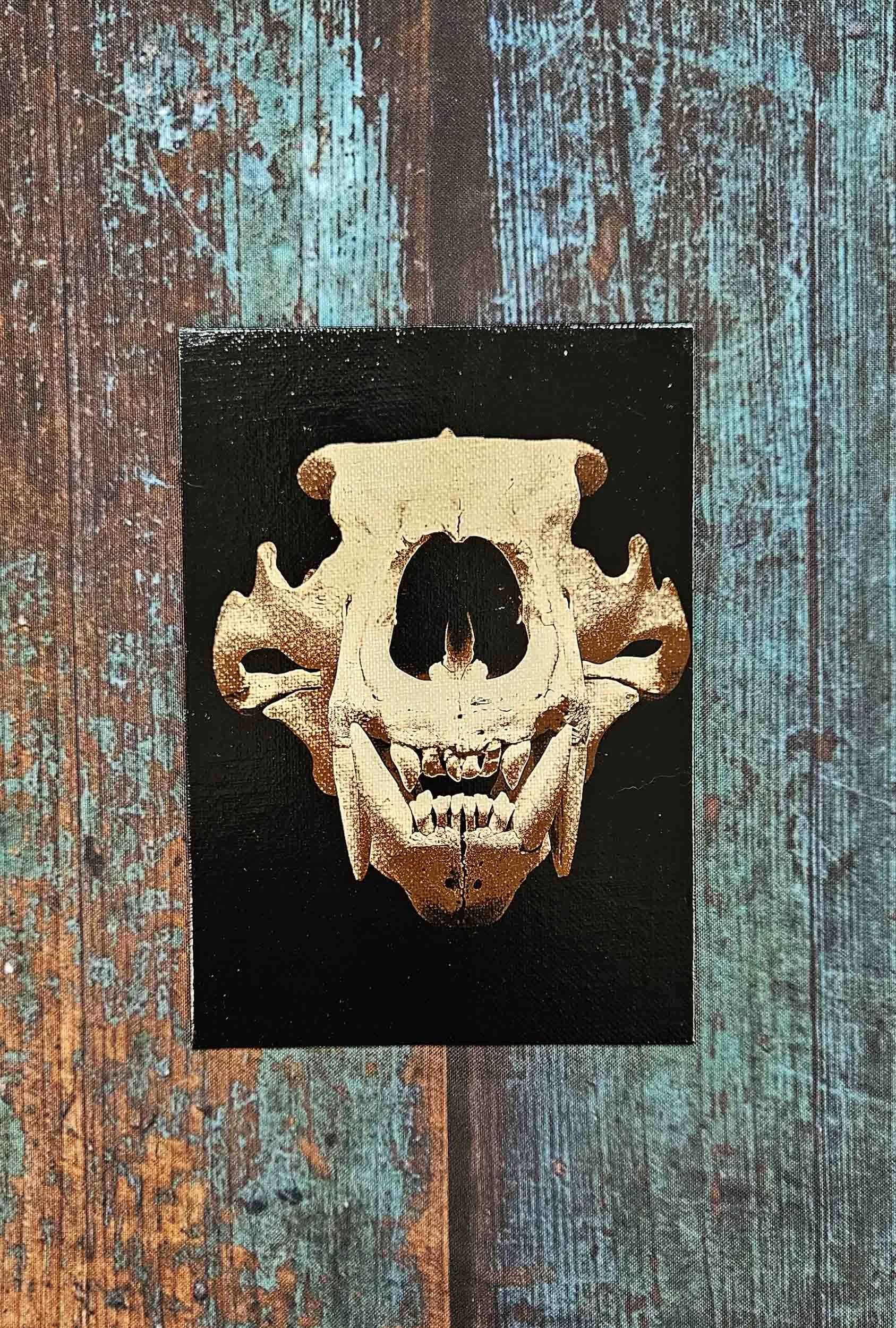 polar_bear_skull_3.jpg