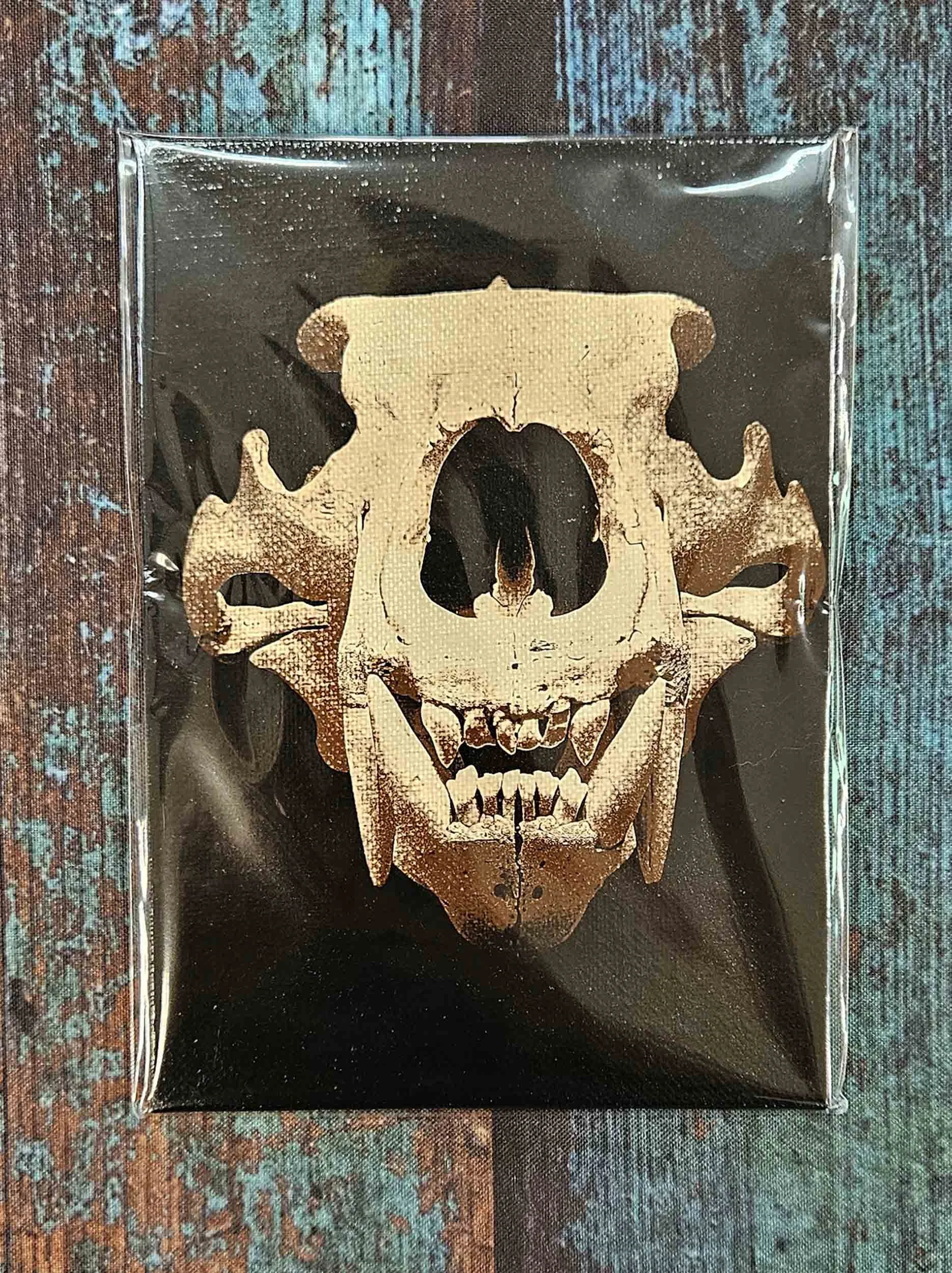 polar_bear_skull_4.jpg