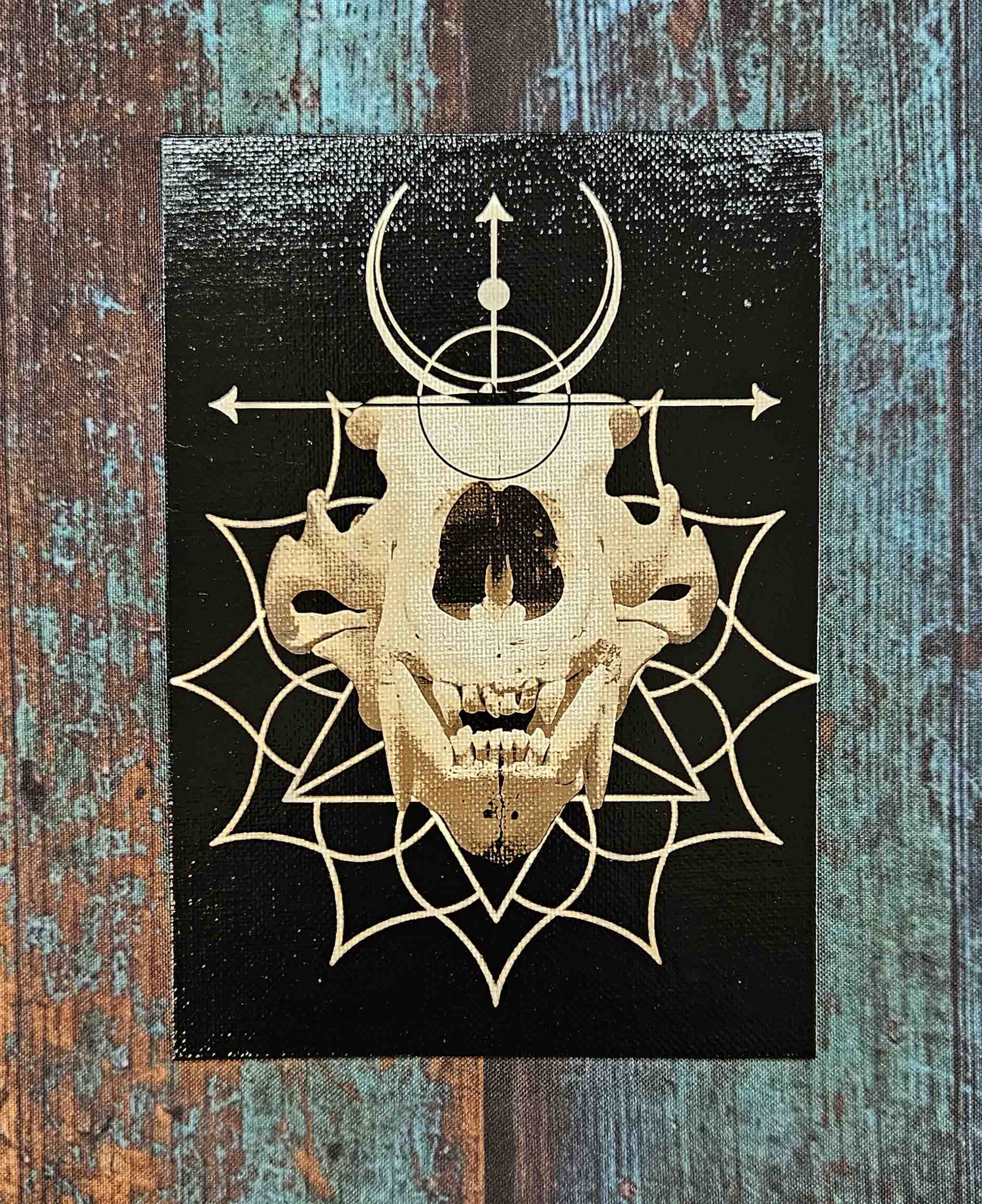 Polar Bear Skull w/ Geometry