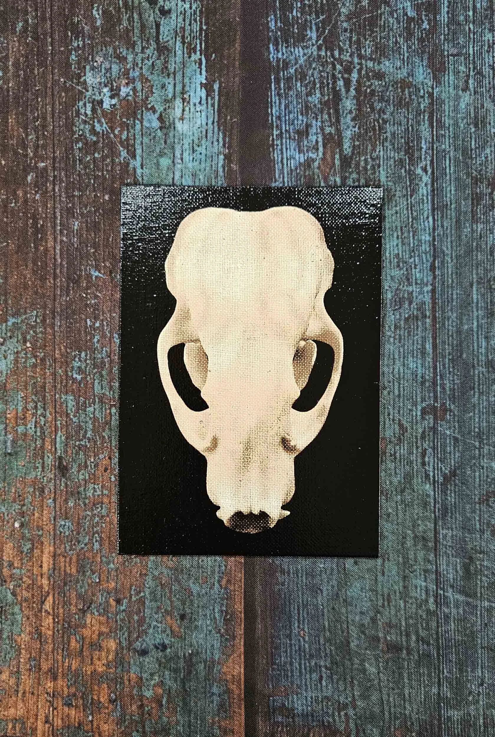 Badger Skull on Canvas