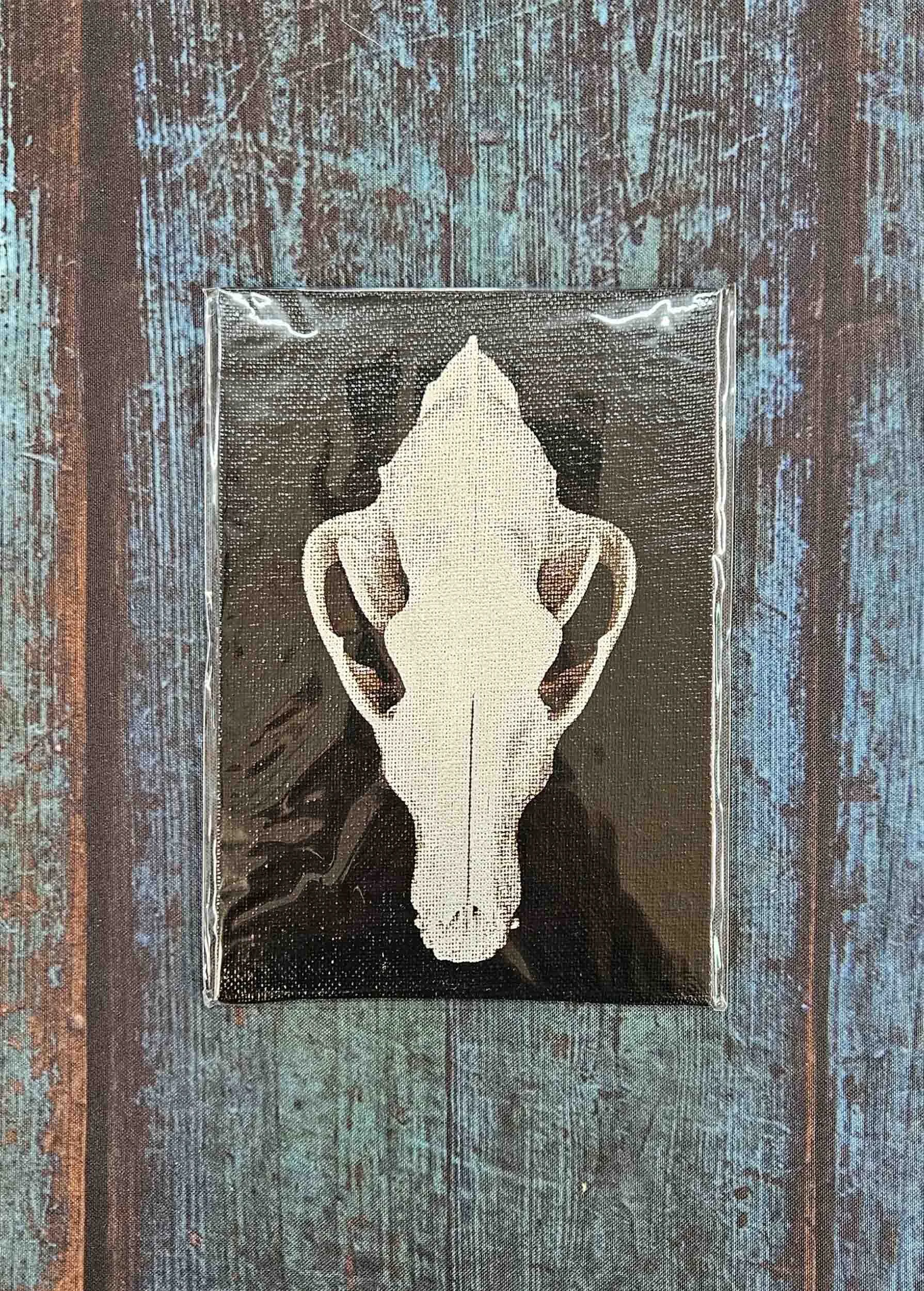 timber wolf_skull_8.jpg