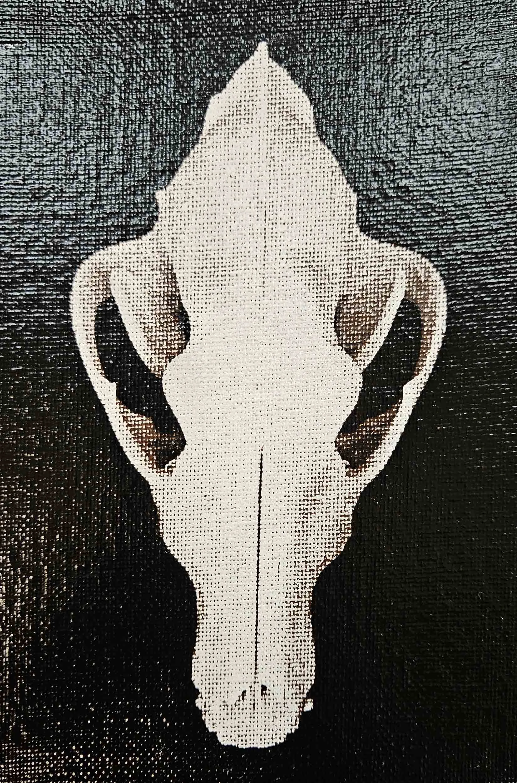 timber wolf_skull_3.jpg