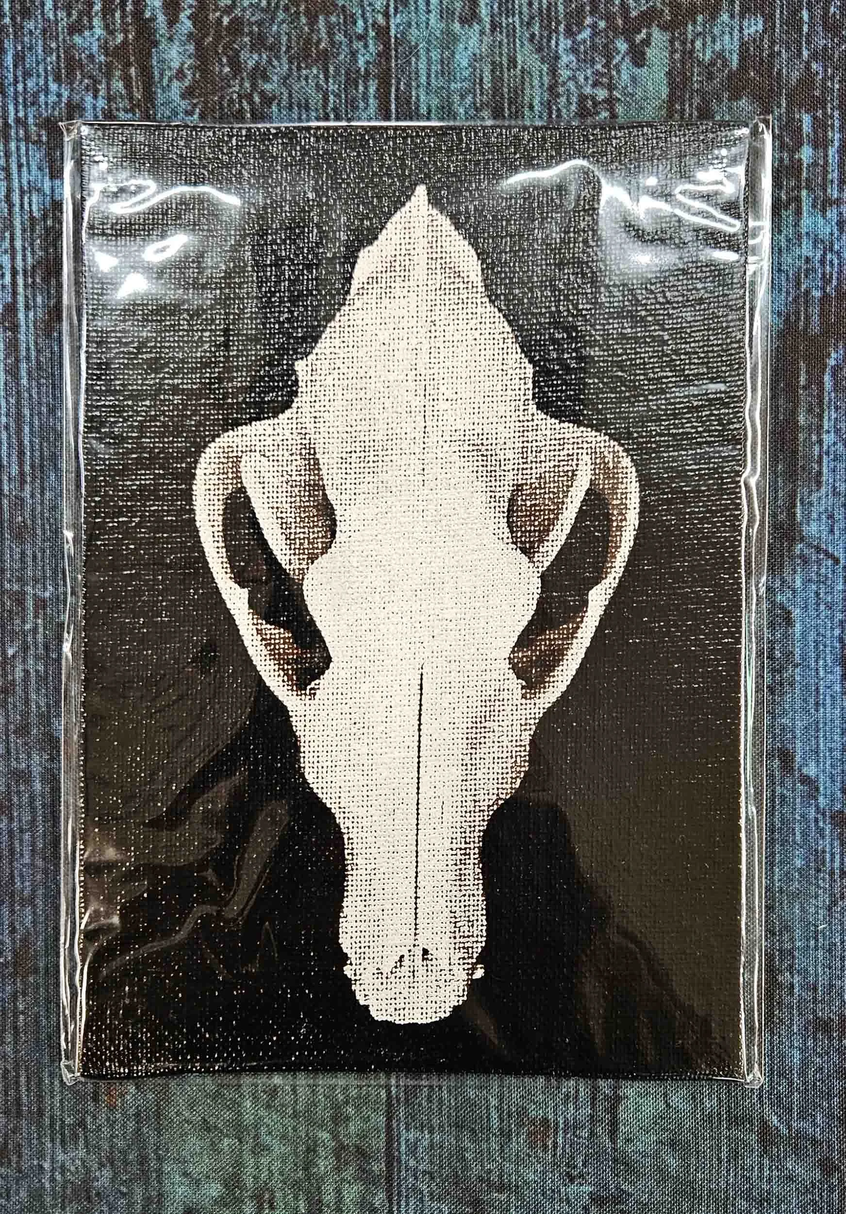 timber wolf_skull_7.jpg