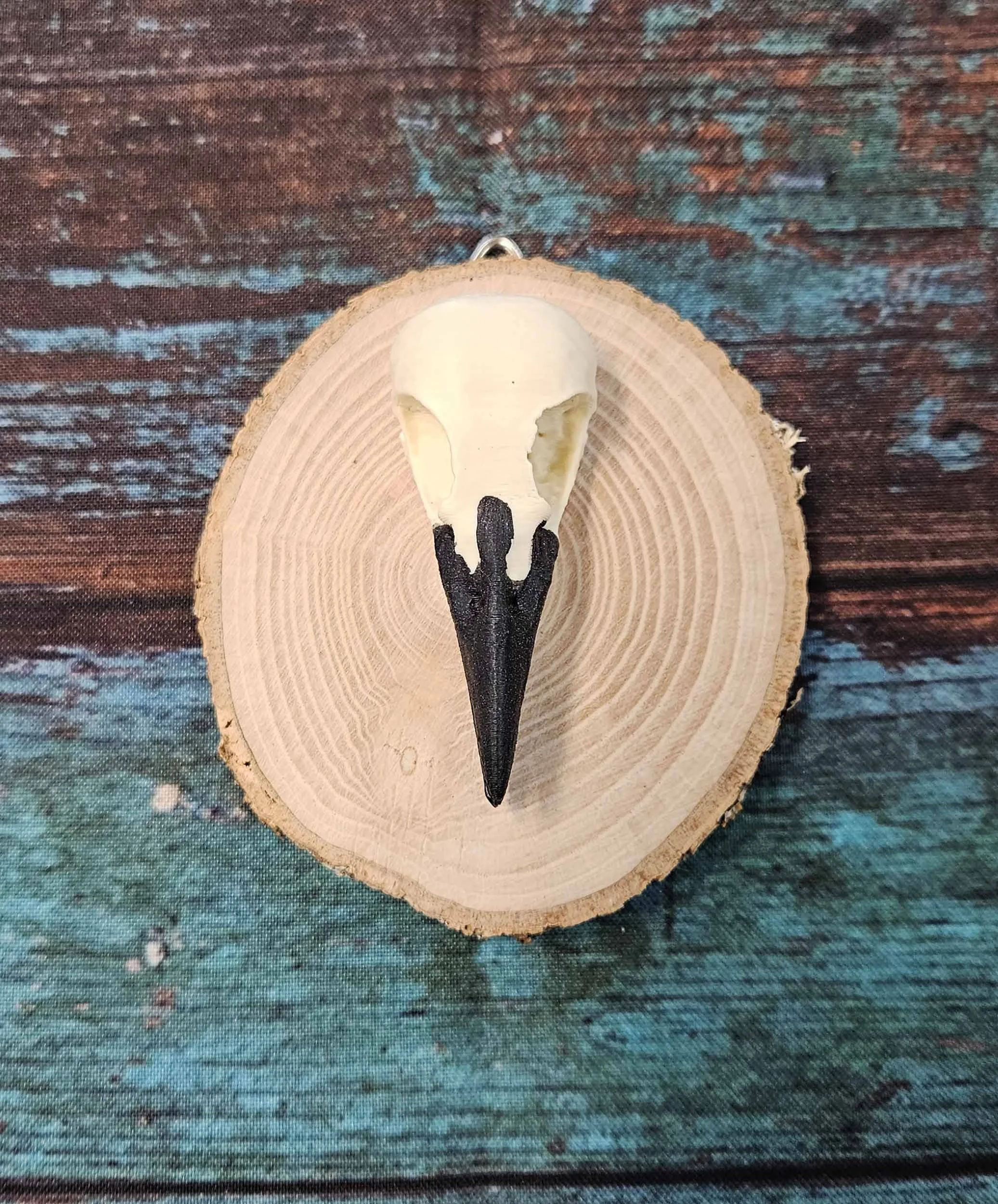 Crow Skull Mounted - Replica