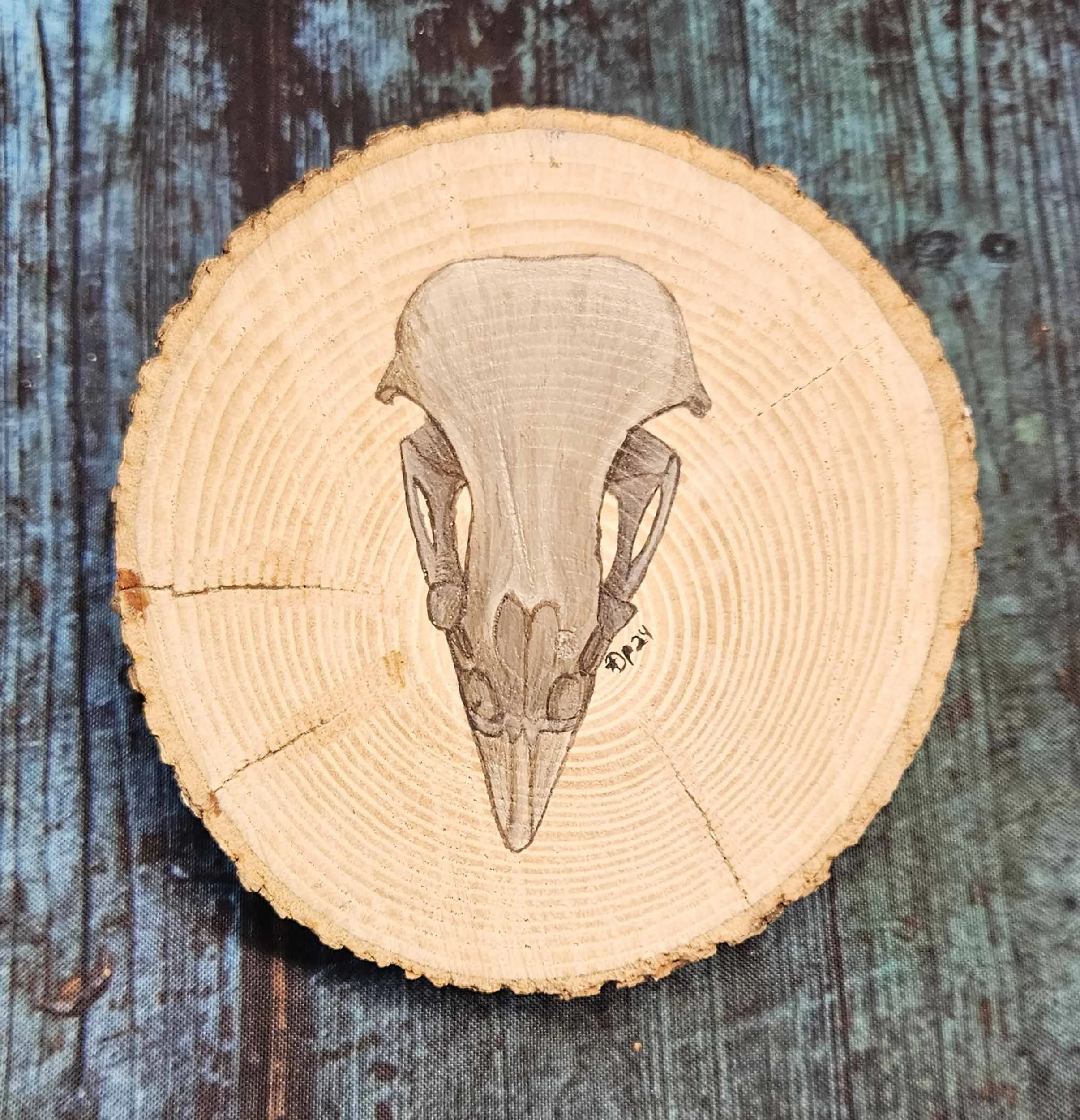 Natural Wood Slice with Osprey Skull