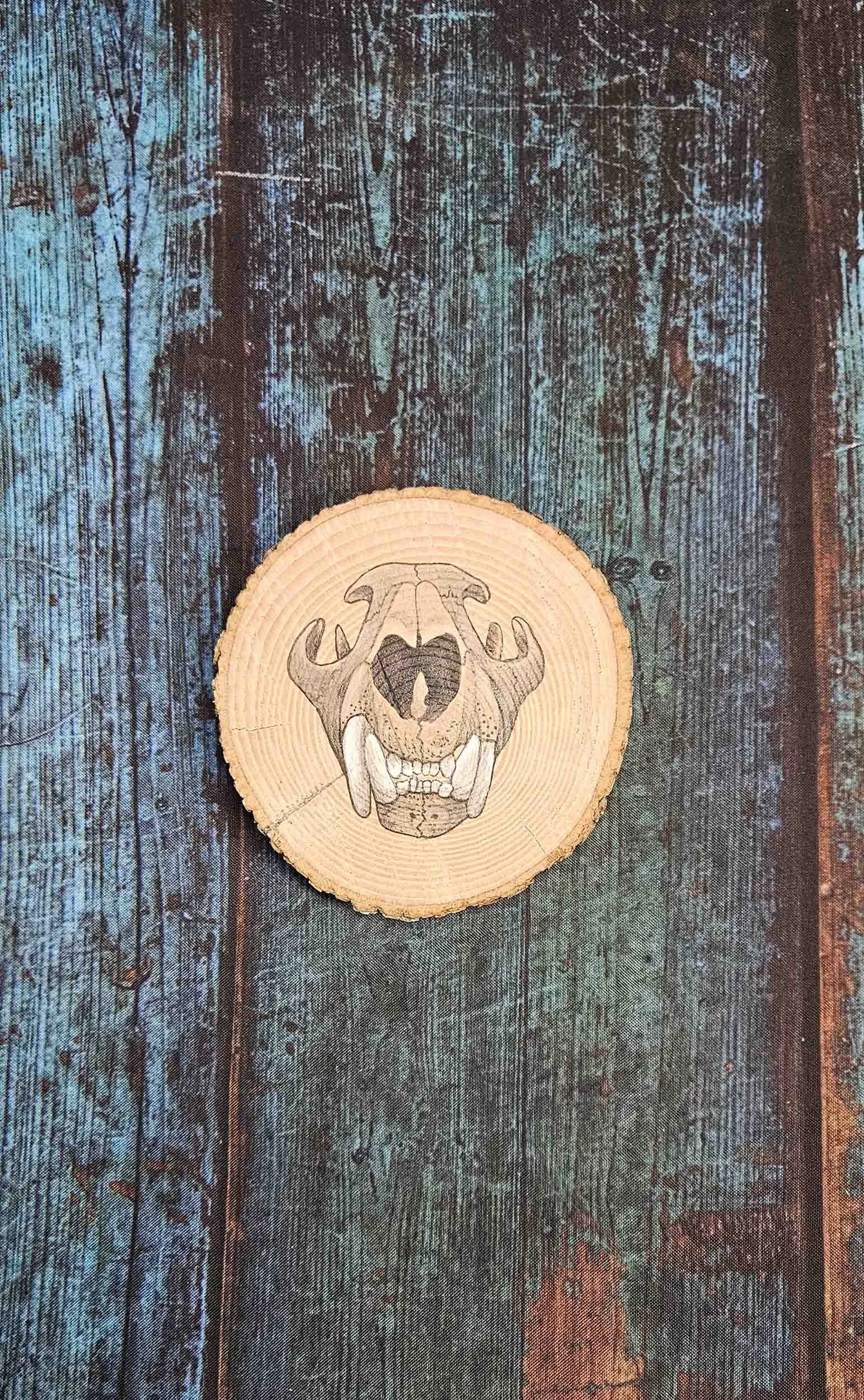 Natural_Slice_cougar_skull_4.jpg