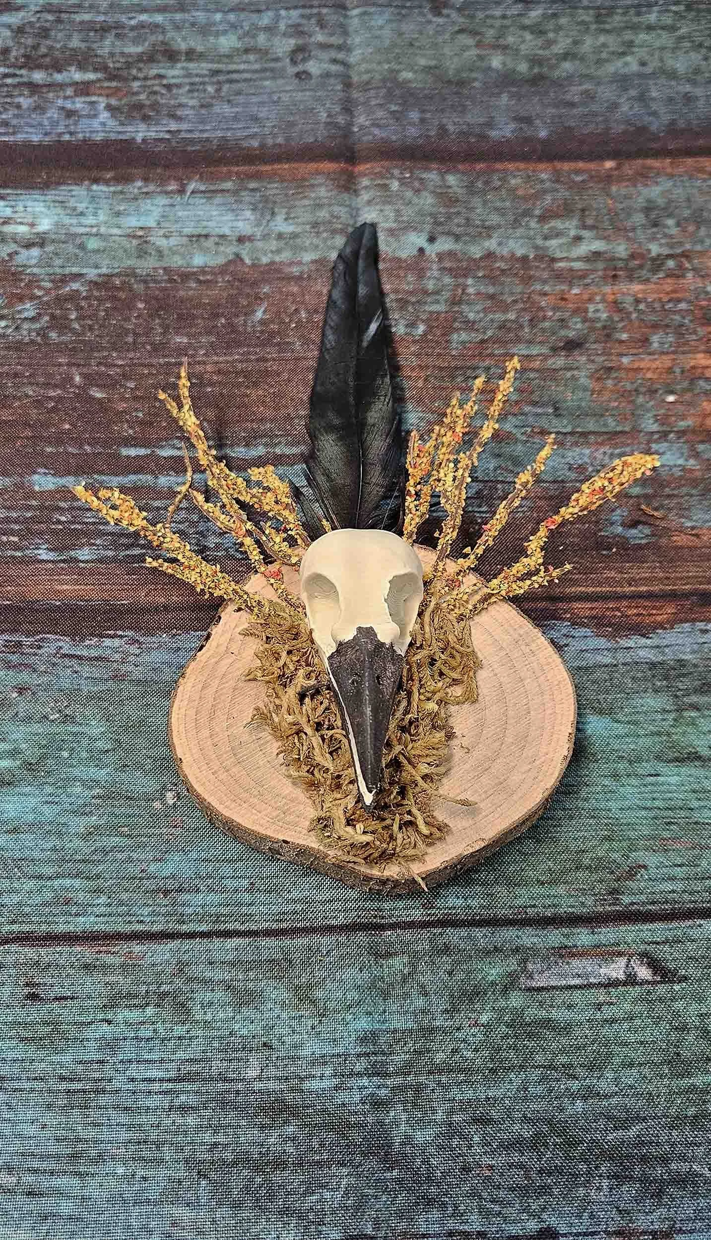 Crow Skull Mount W/ Floral - Replica
