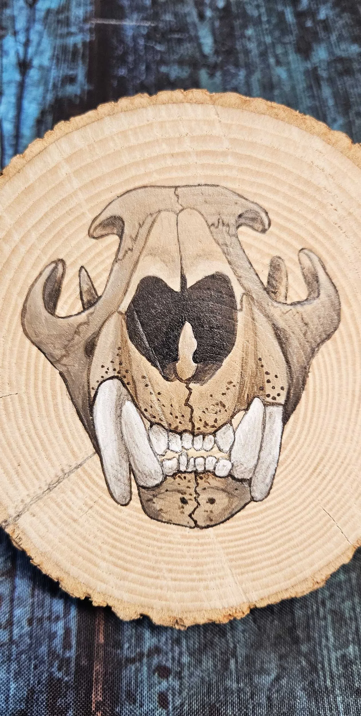 Natural_Slice_cougar_skull_1.jpg