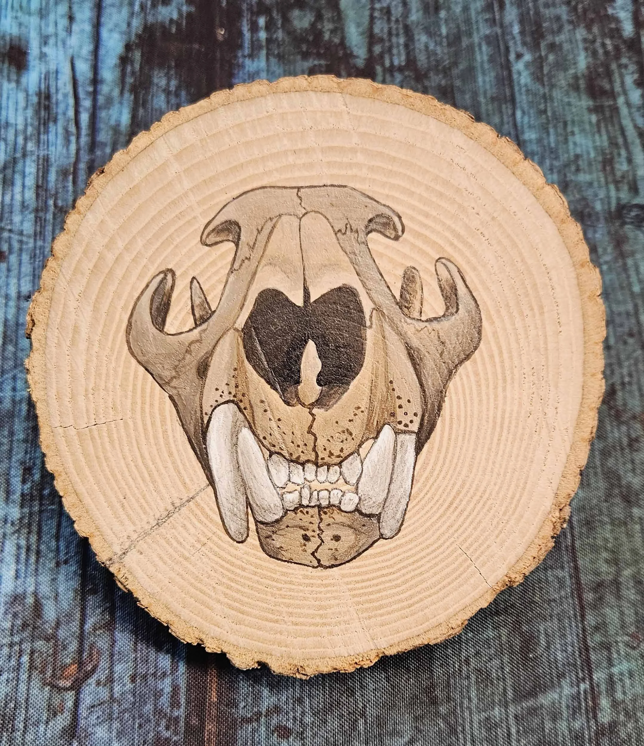 Natural_Slice_cougar_skull_2.jpg