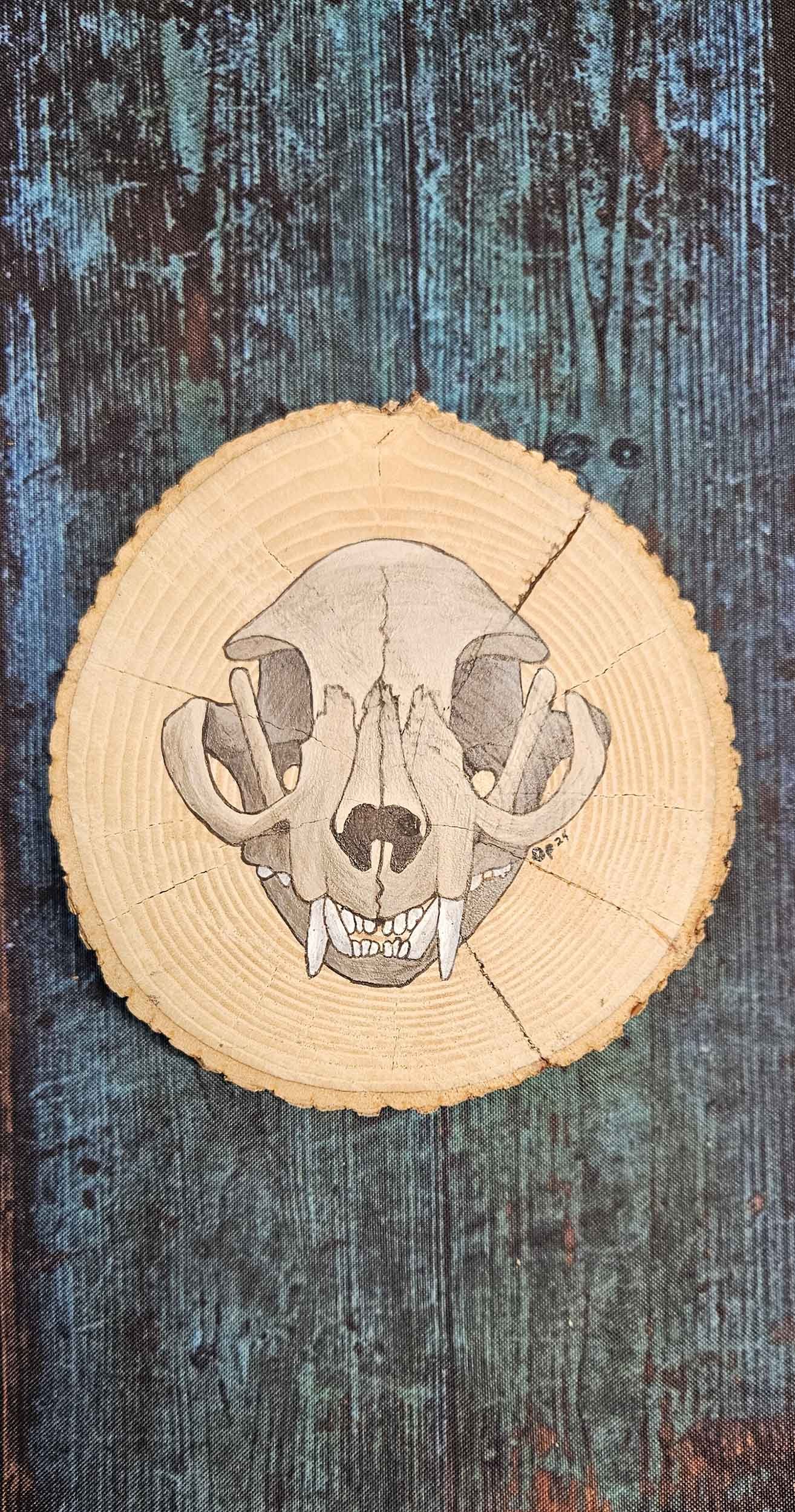 Natural Wood Slice with Raccoon Skull