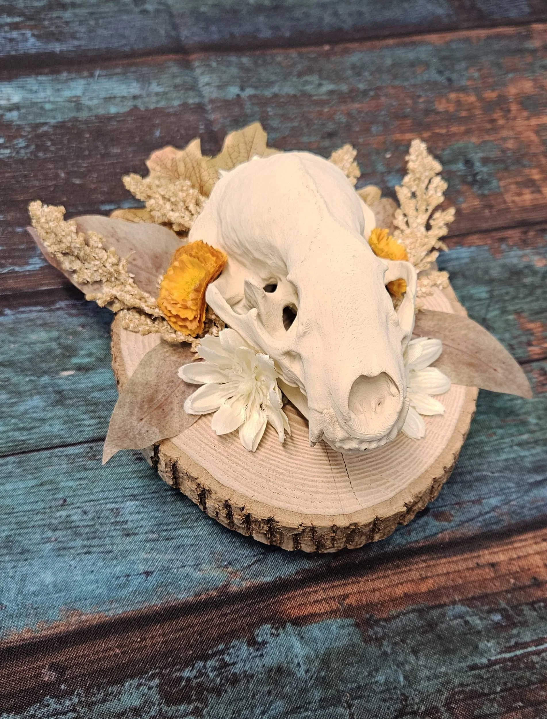 Badger Skull Mount W/ Floral - Replica