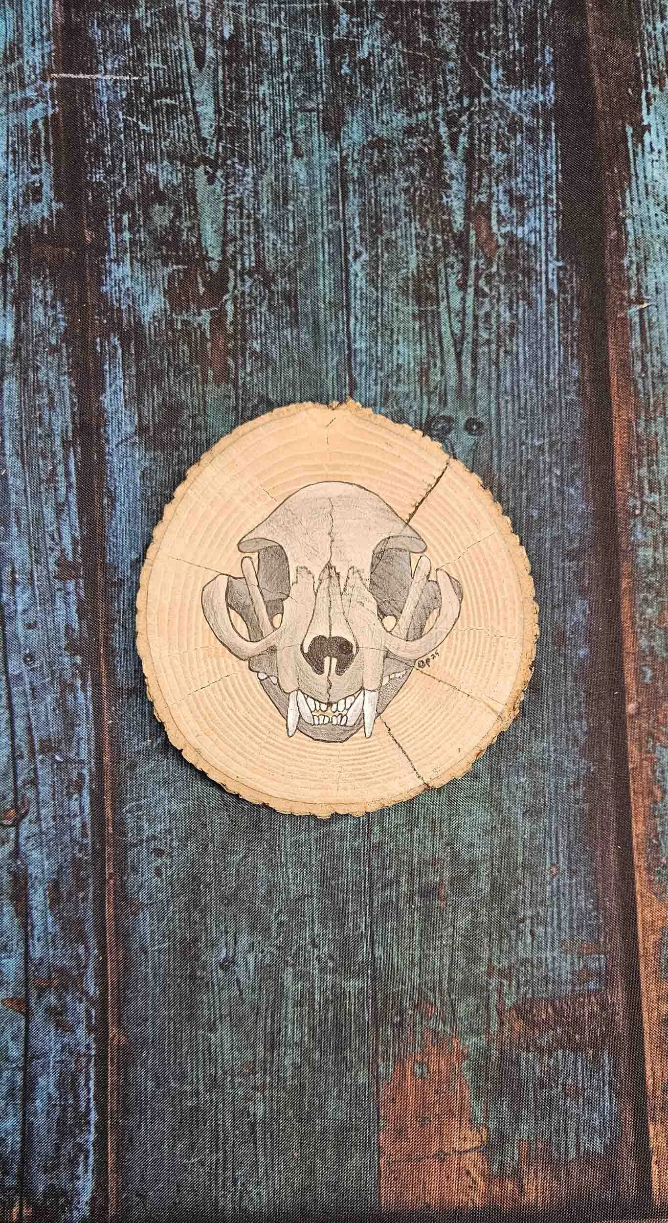 Natural_Slice_raccoon_skull_4.jpg
