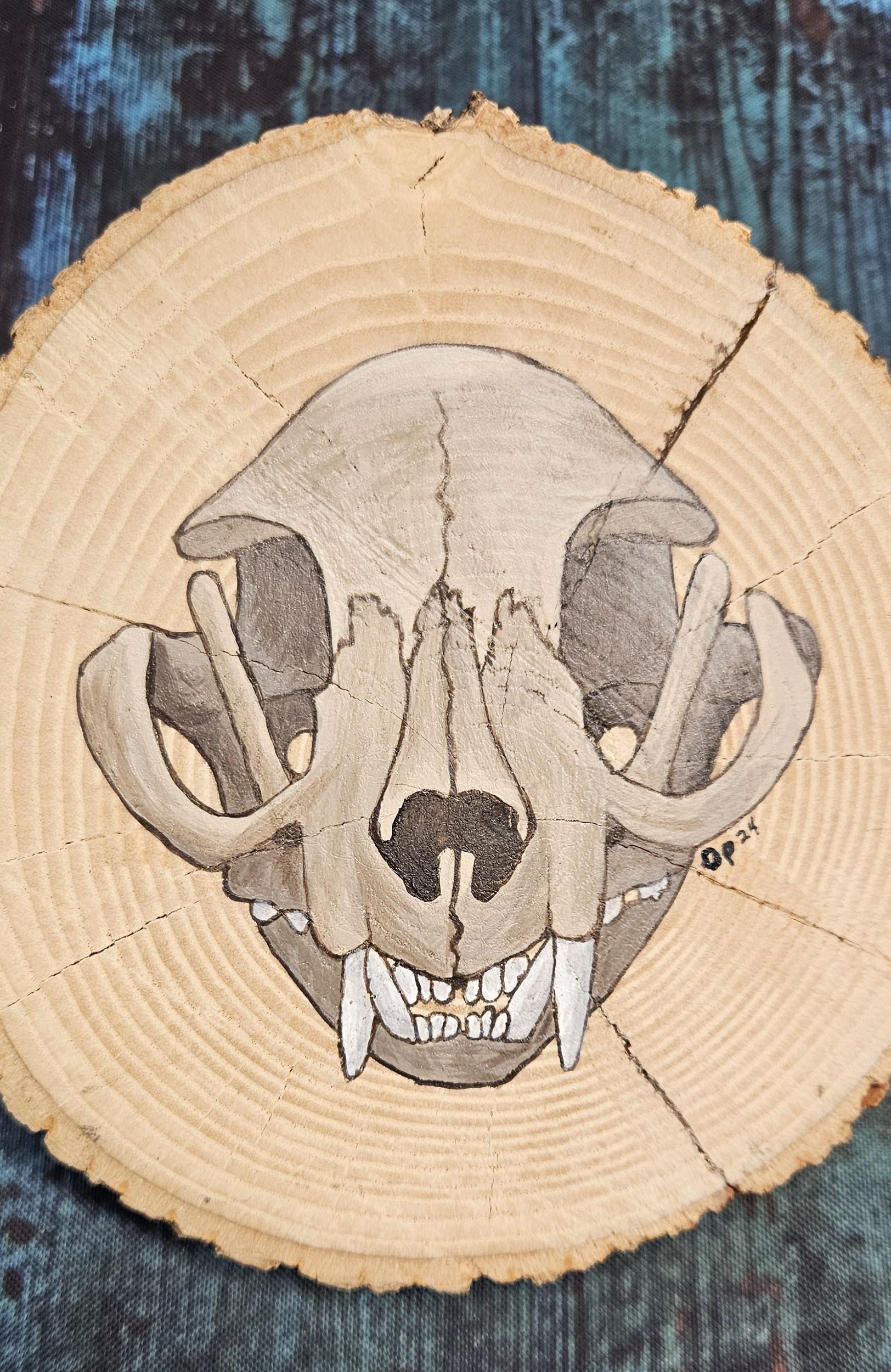 Natural_Slice_raccoon_skull_1.jpg