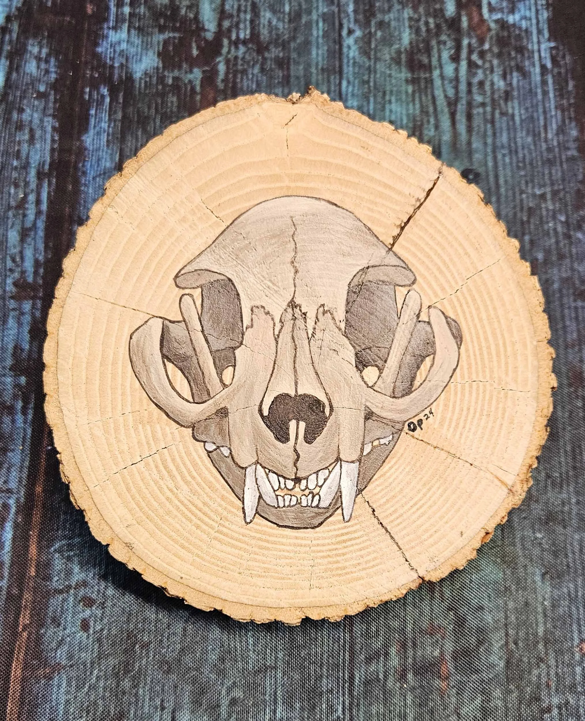 Natural_Slice_raccoon_skull_2.jpg