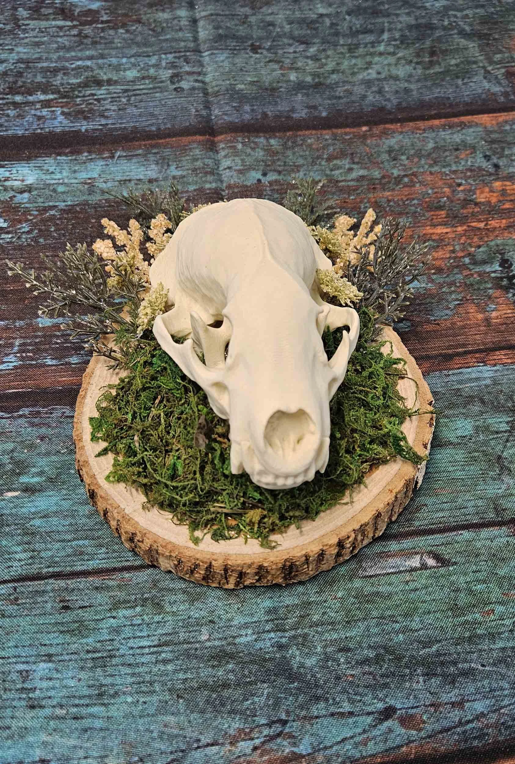 Badger Skull Mount W/ Floral - Replica