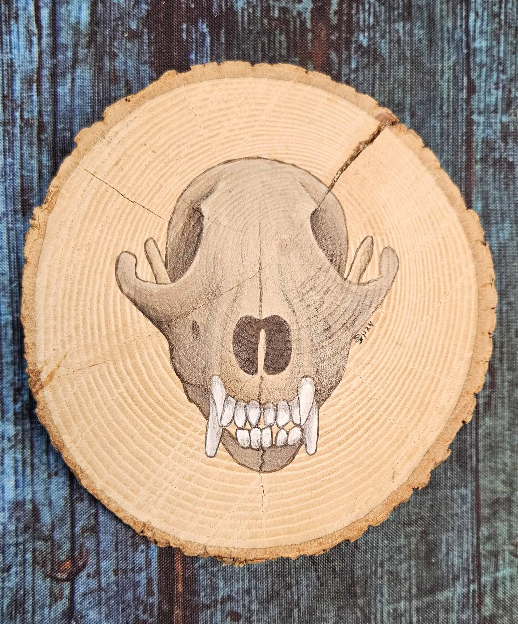 Natural_Slice_fox_skull_3.jpg