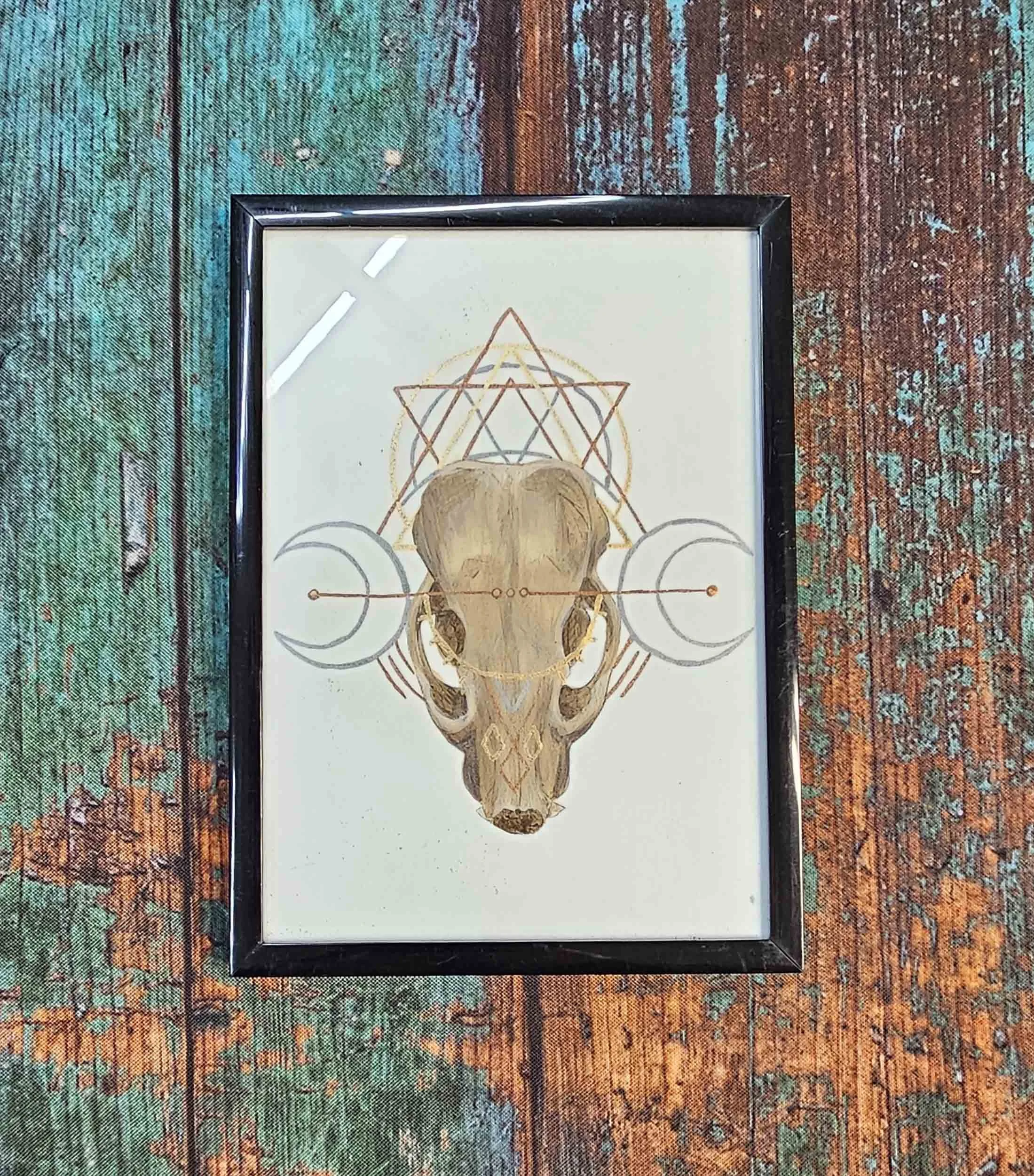 Framed Badger Skull with Geometry