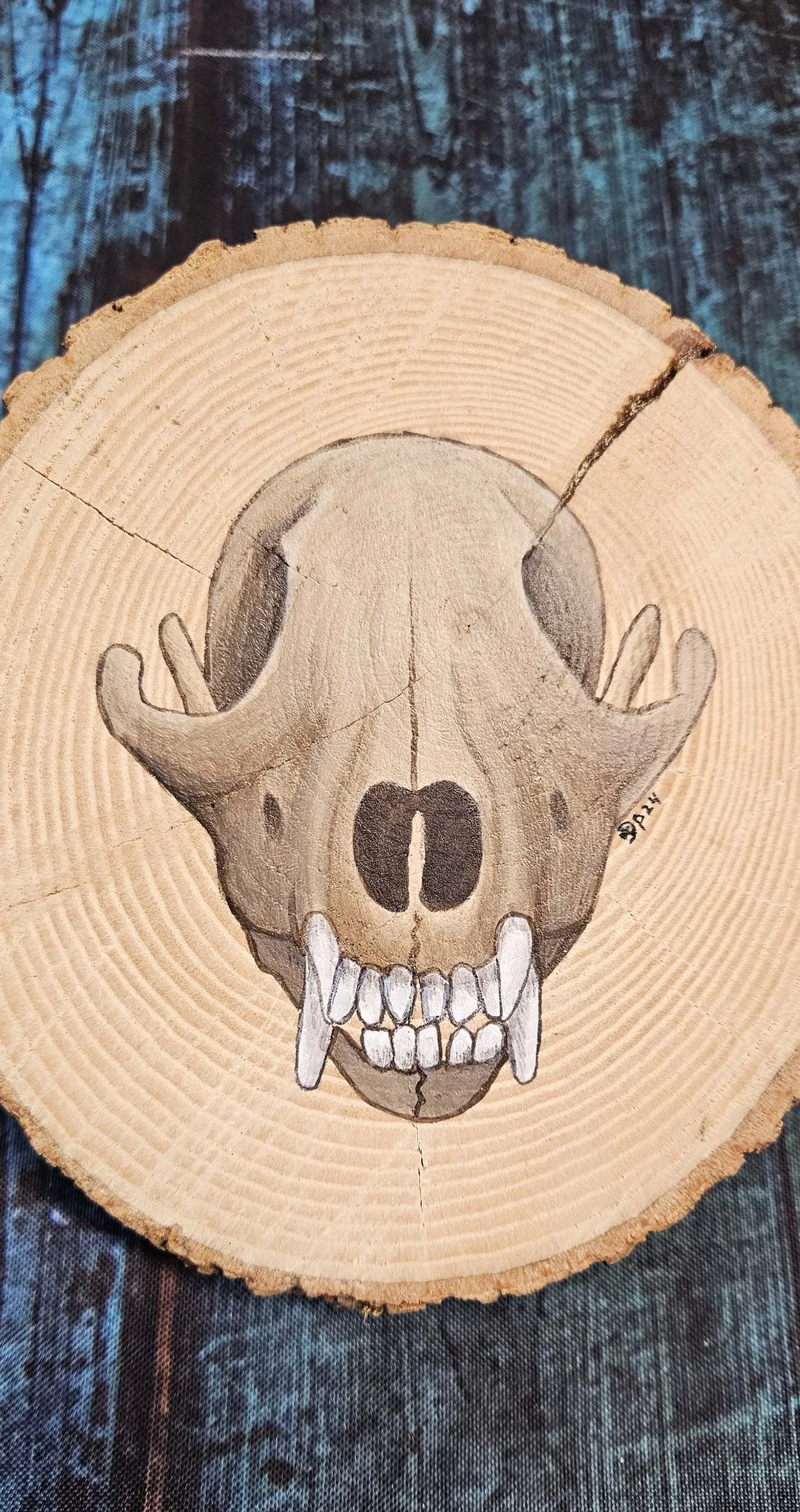 Natural_Slice_fox_skull_1.jpg