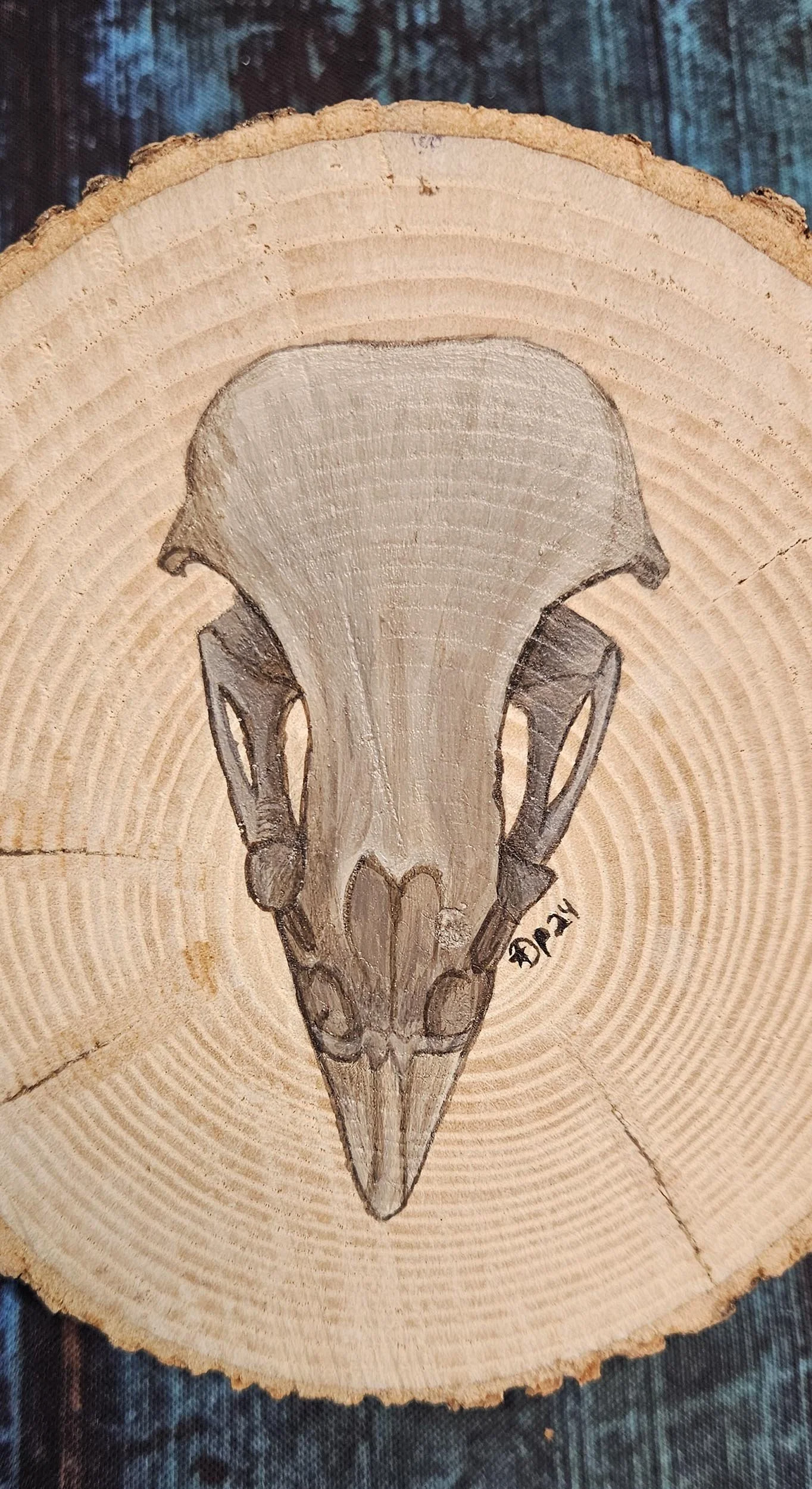 Natural_Slice_osprey_skull_1.jpg