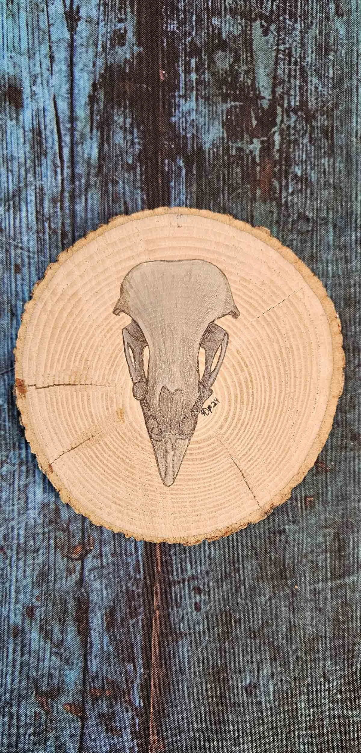 Natural_Slice_osprey_skull_3.jpg
