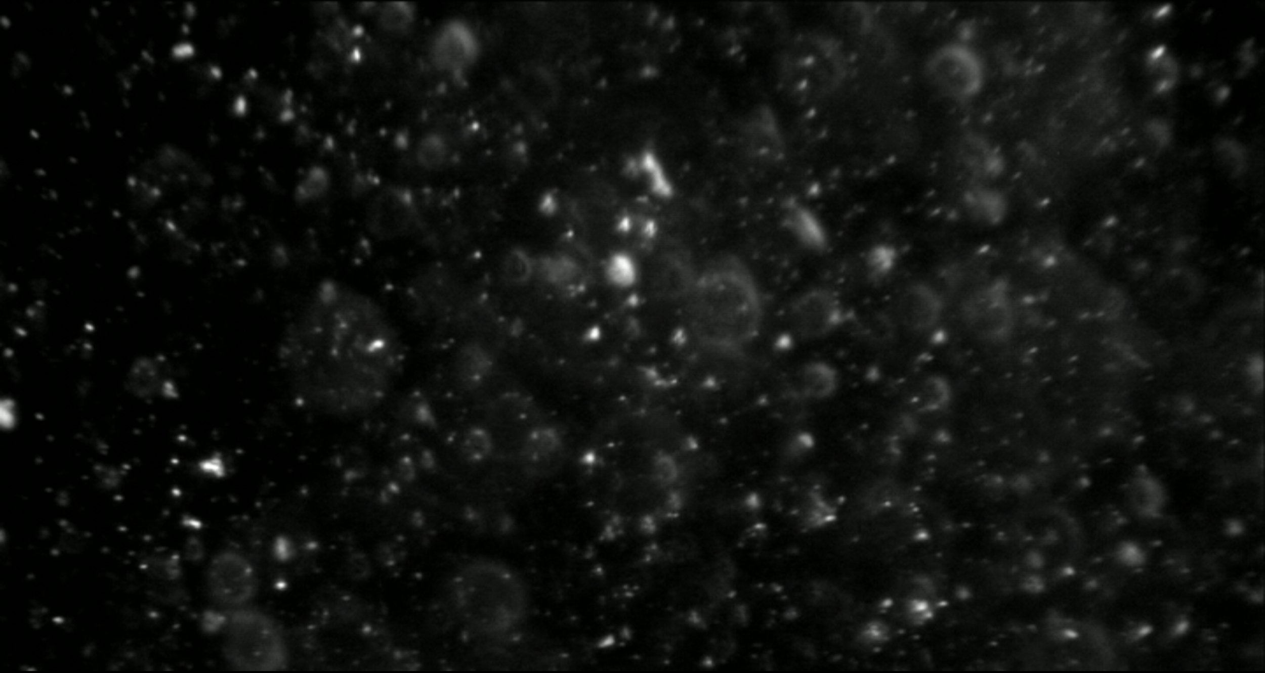Screenshot 2025-01-05 at 11.37.19.png