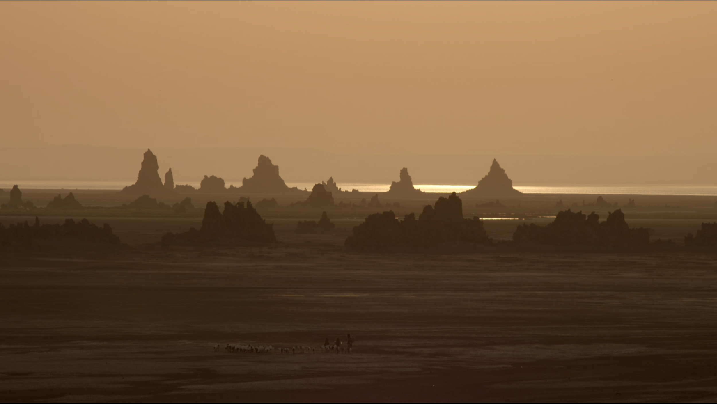 Screenshot 2024-11-14 at 12.13.13.png
