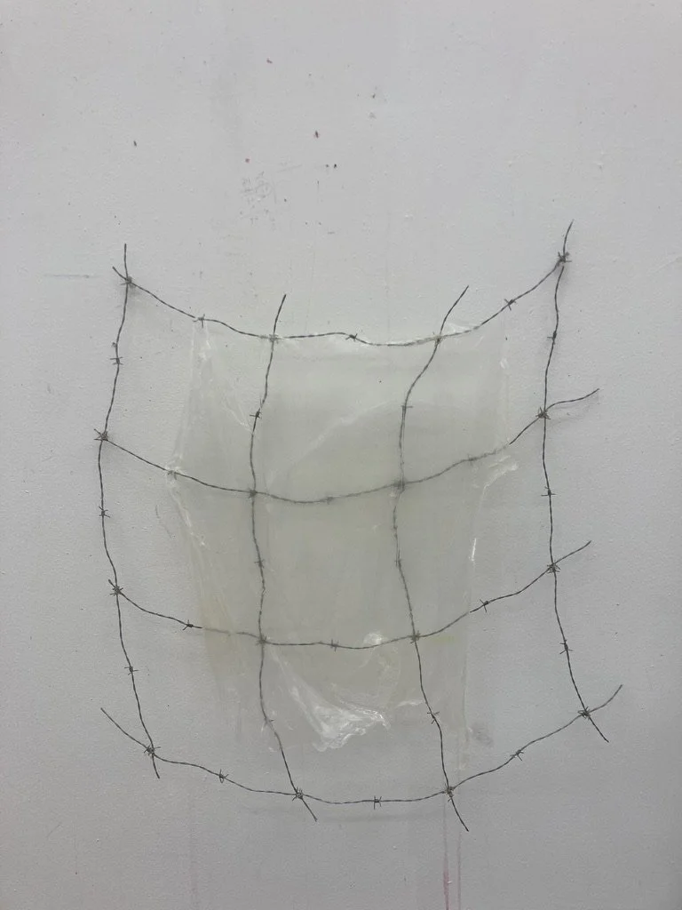 63AB5622-E646-4C7A-9CF2-EA222D3A1D6A_1_105_c.jpeg