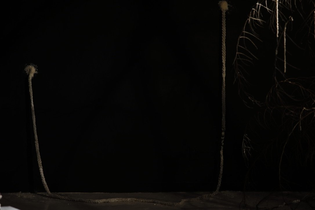 3F700718-89F2-44D1-B315-4815DCD892A1_1_105_c.jpeg