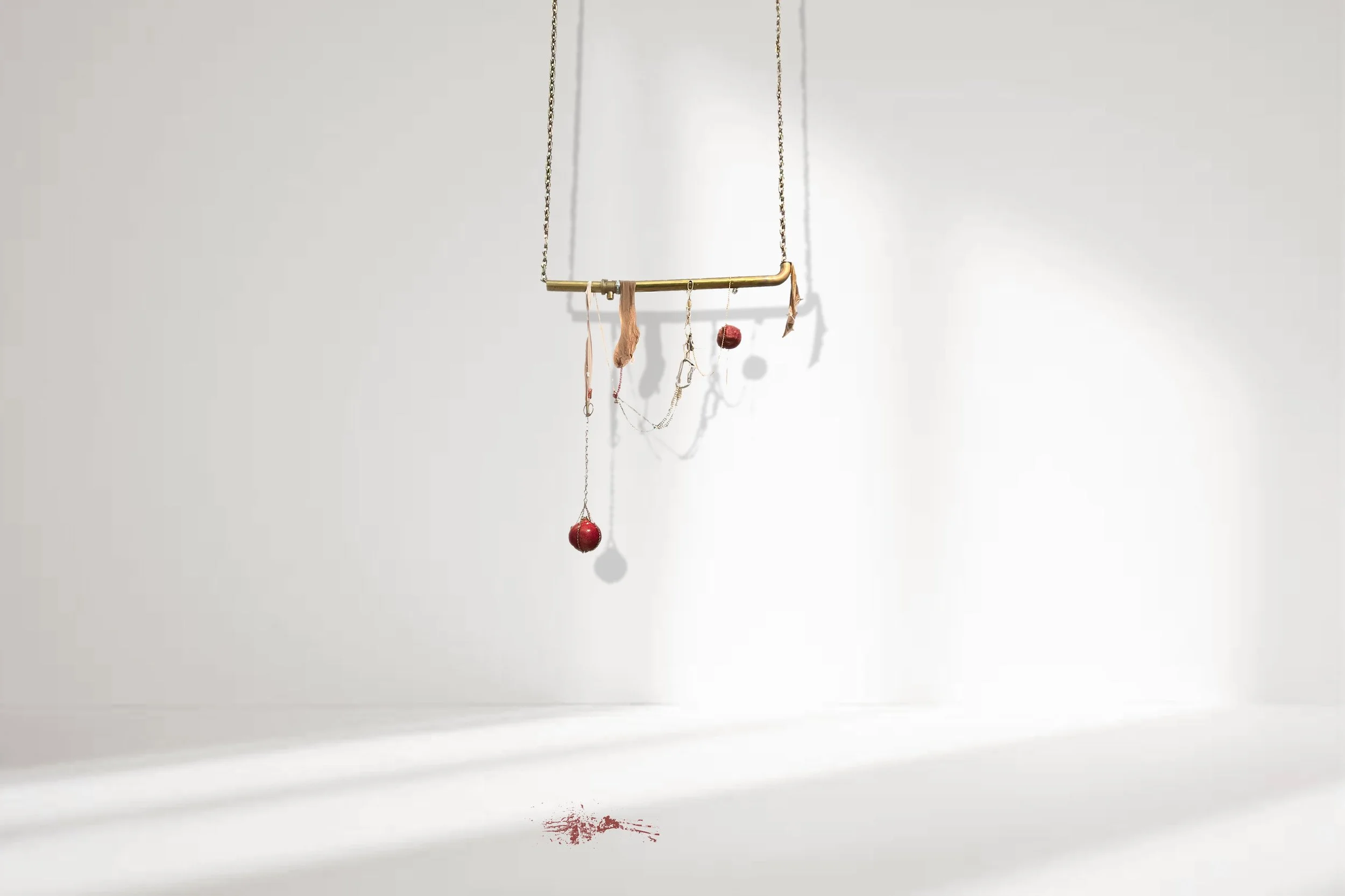sorrry for bleeding out on your bathroom floor_installation view.jpg