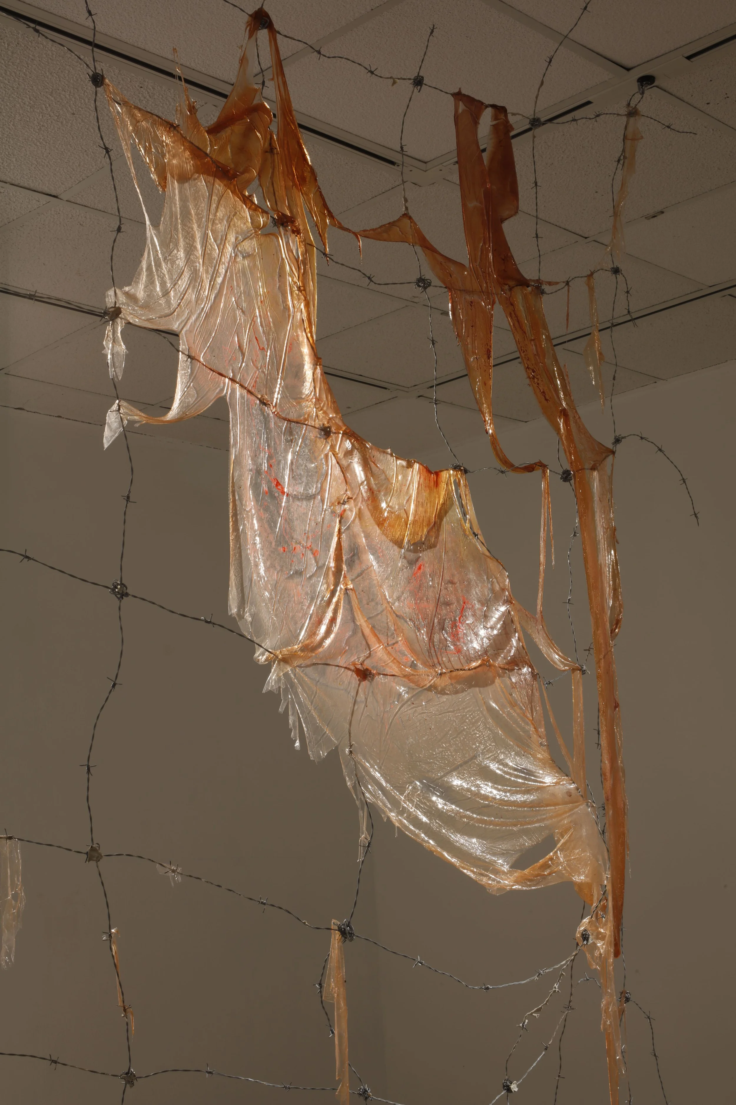 exile from eden_stigmata-min.JPG