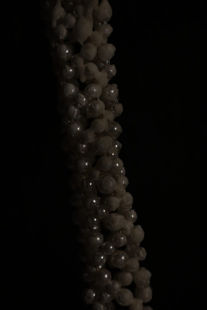 3AB14165-4A25-4D4C-B3F1-FB06C572C9E5_1_105_c.jpeg